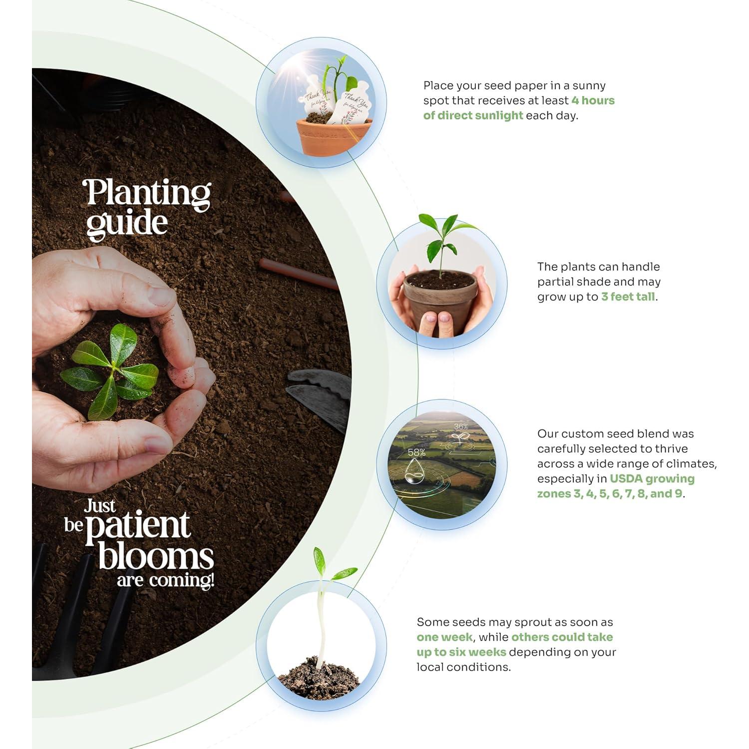 Juego de 6 Papeles Semilla Body Verde con Macetas Naranjas