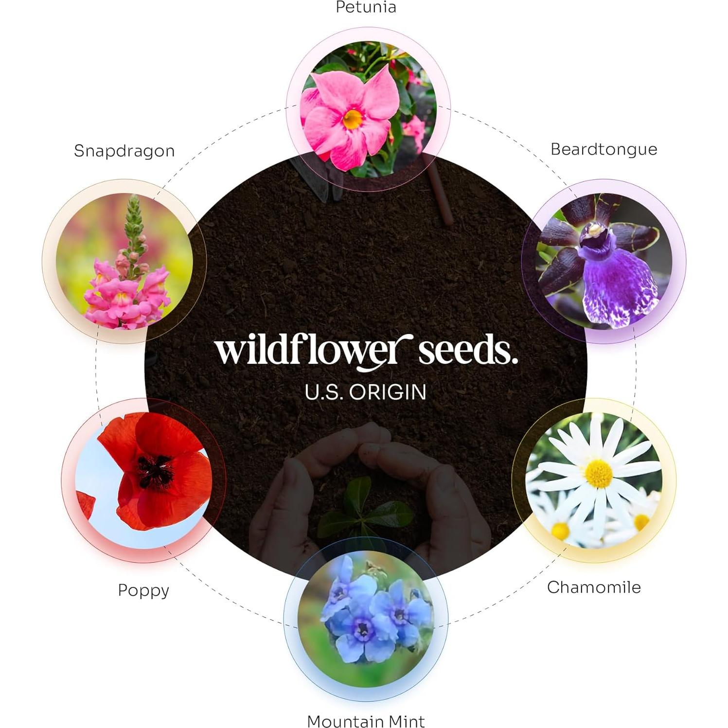 Juego de 6 Papeles Semilla Body Verde con Macetas Naranjas