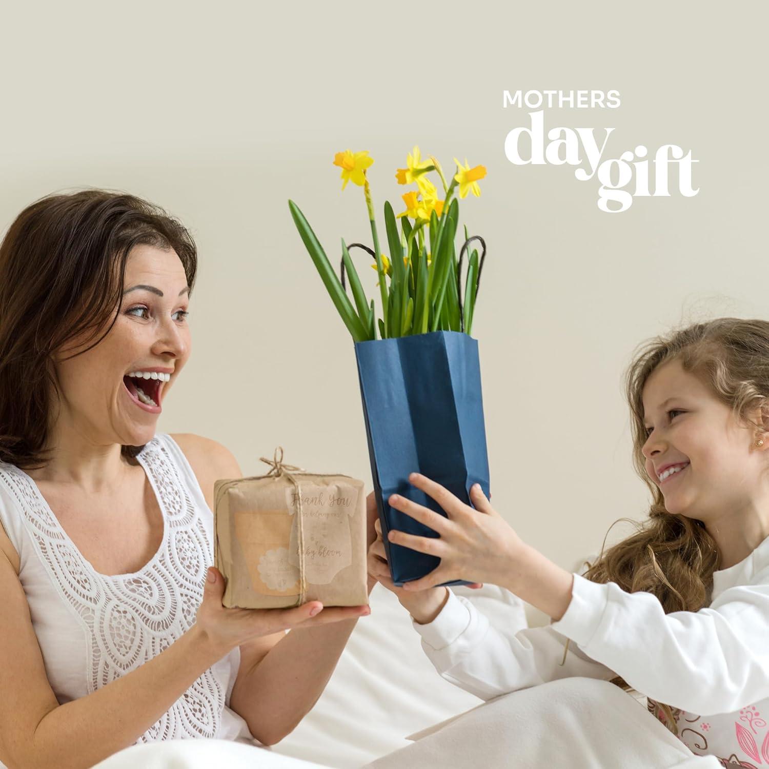 Juego de 6 Papeles Semilla Body Verde con Macetas Naranjas