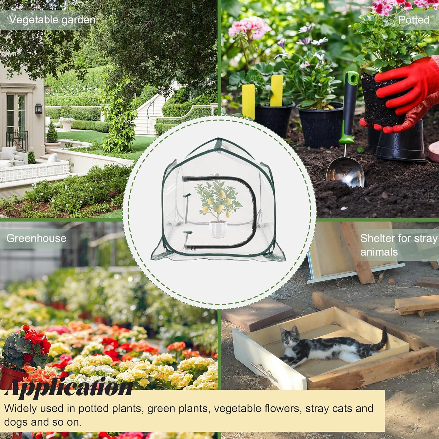 Mini Invernadero Plegable Toboom 80x80 cm Transparente