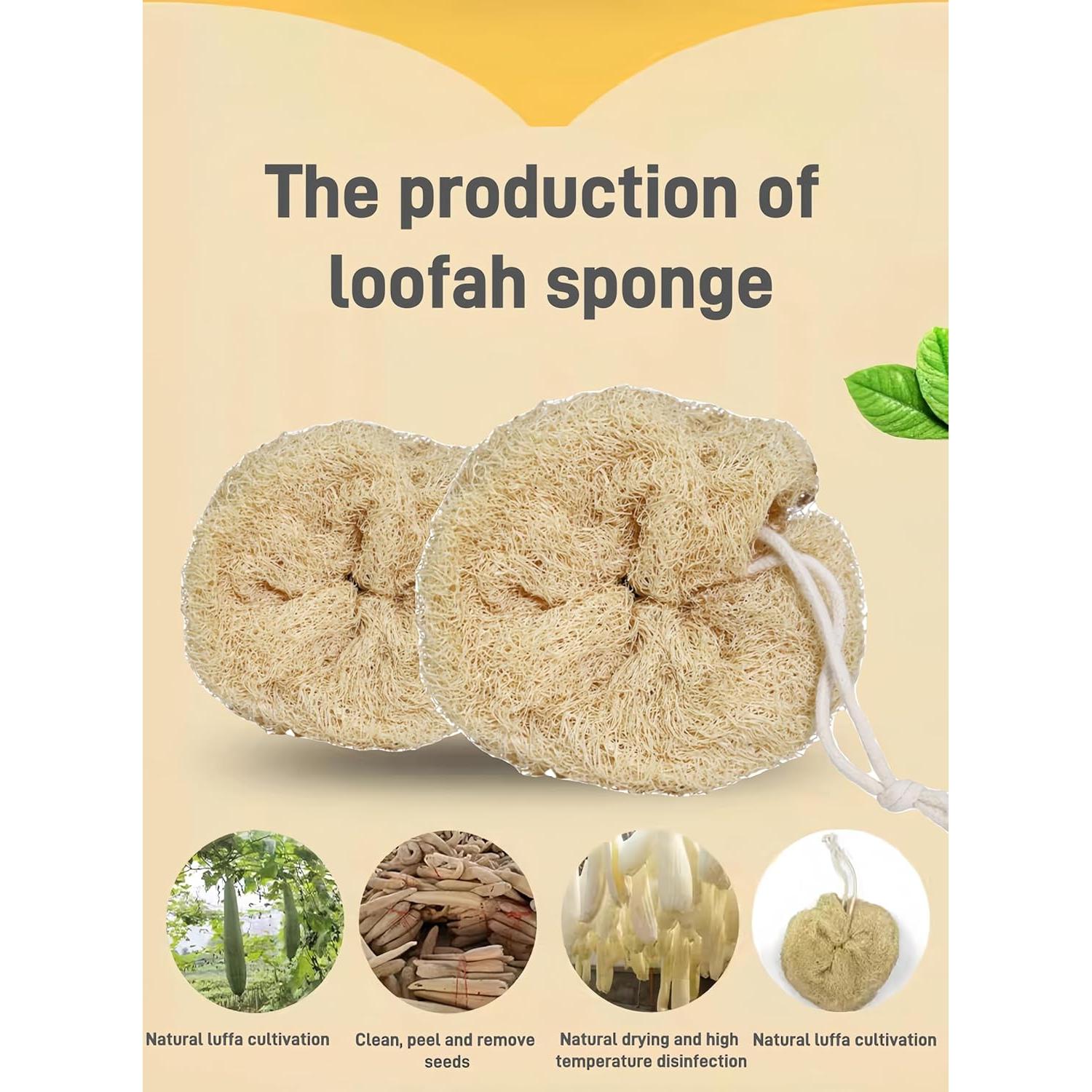 Esponja de Lufa Natural Exfoliante - Bola de Baño 2 Unidades