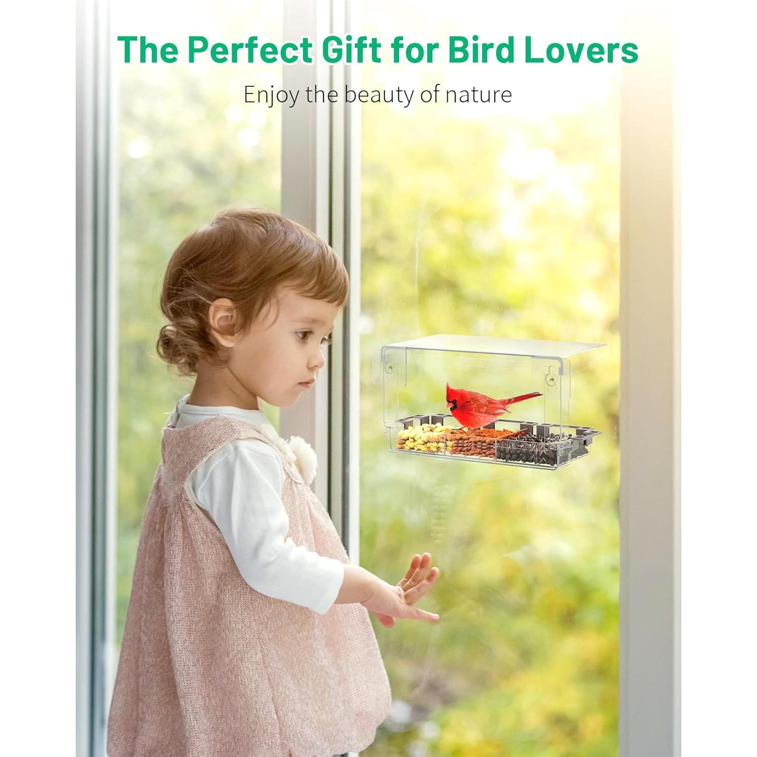 Comedero de Aves de Ventana LMHOME Transparente 0.78kg