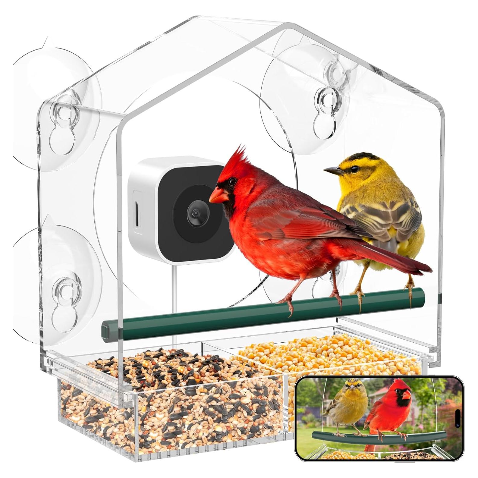 Comedero para Aves de Ventana Svanur con Cámara AI 2K HD