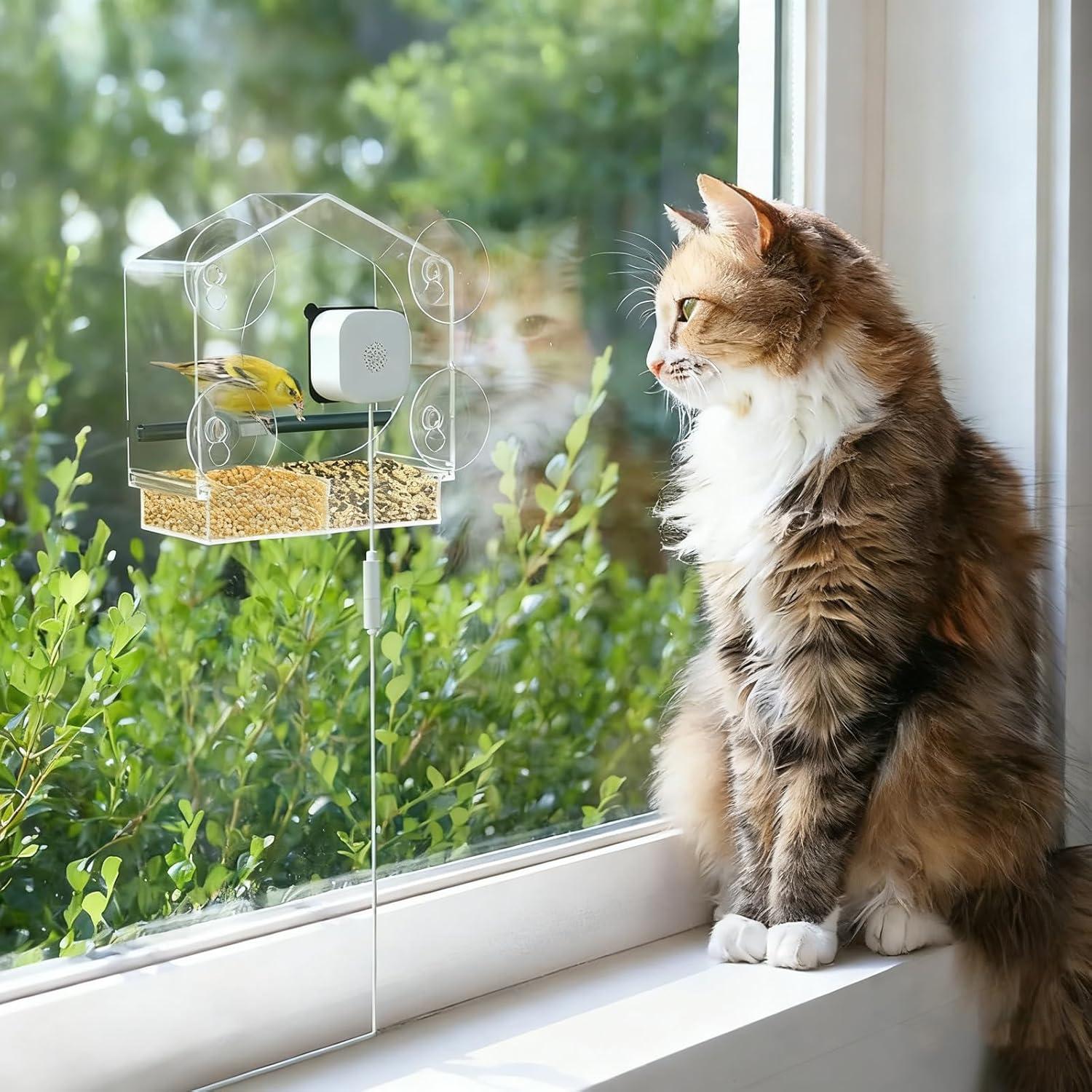 Comedero para Aves de Ventana Svanur con Cámara AI 2K HD