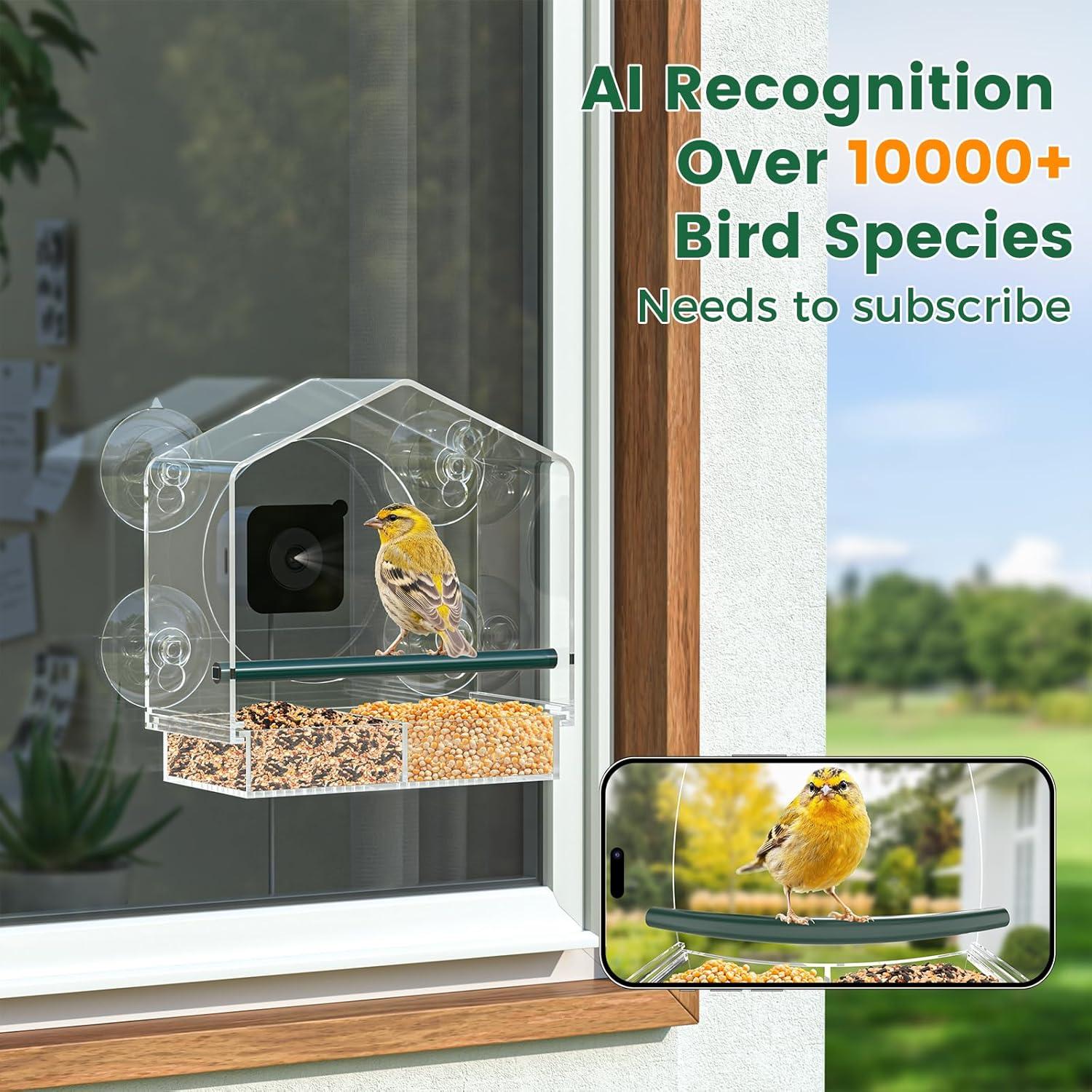 Comedero para Aves de Ventana Svanur con Cámara AI 2K HD