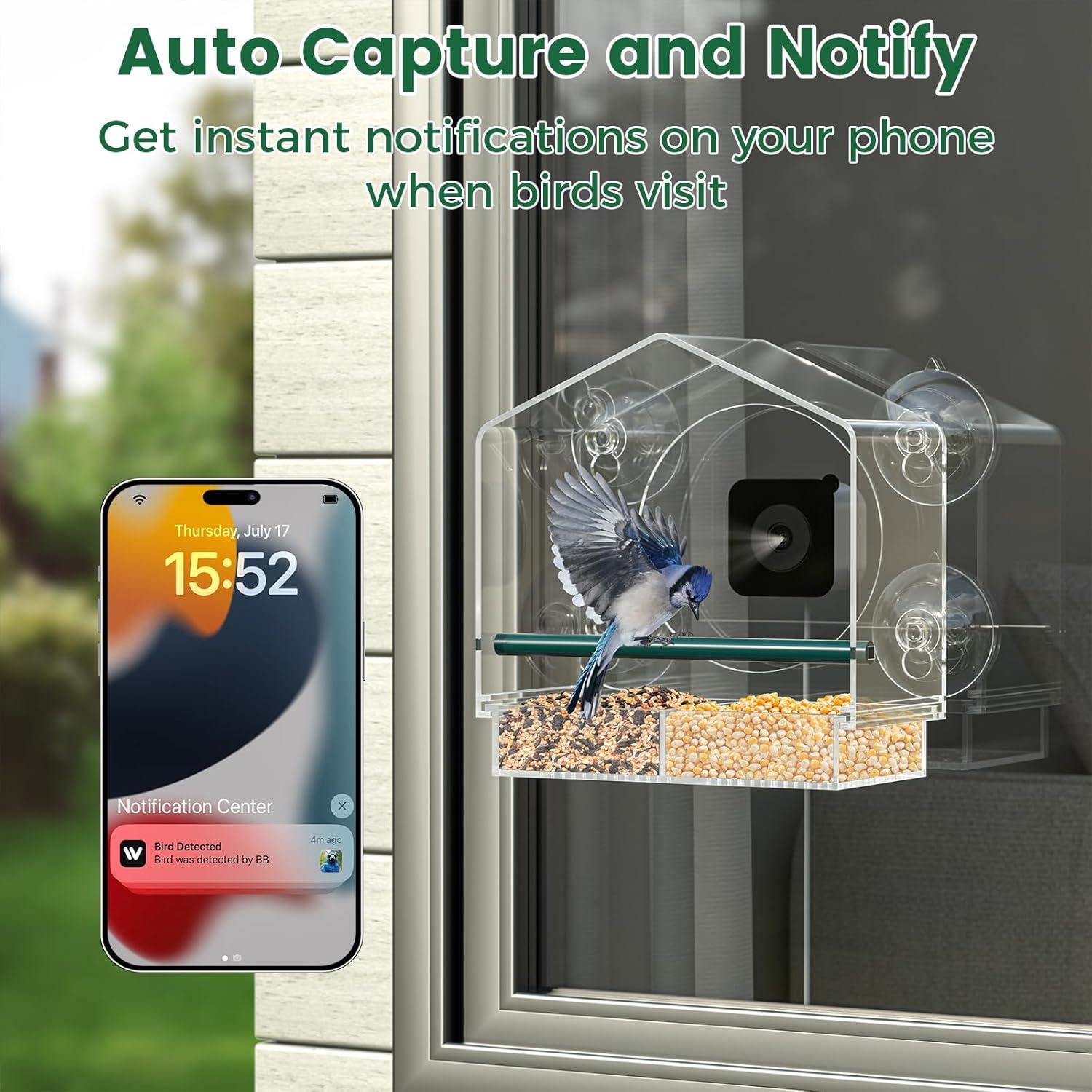 Comedero para Aves de Ventana Svanur con Cámara AI 2K HD