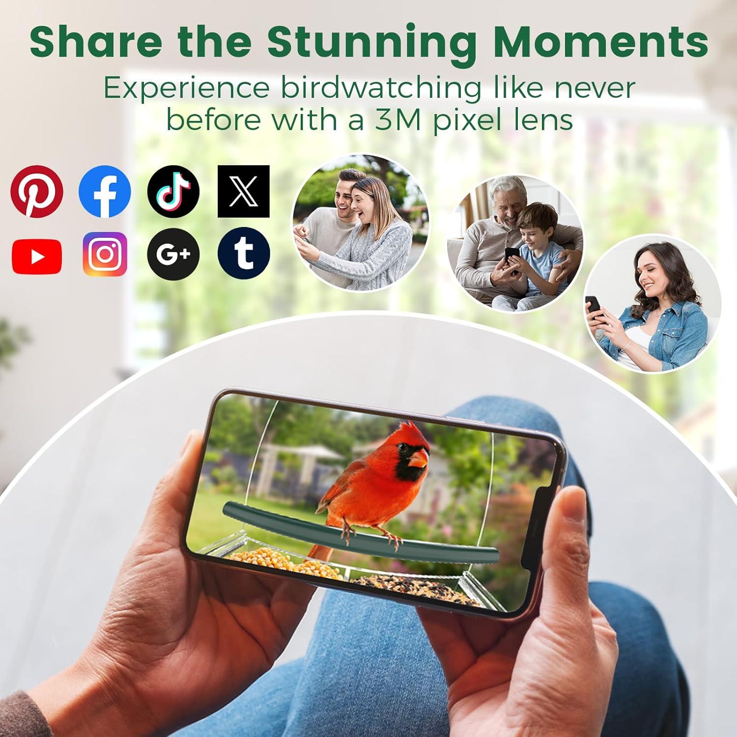 Comedero para Aves de Ventana Svanur con Cámara AI 2K HD