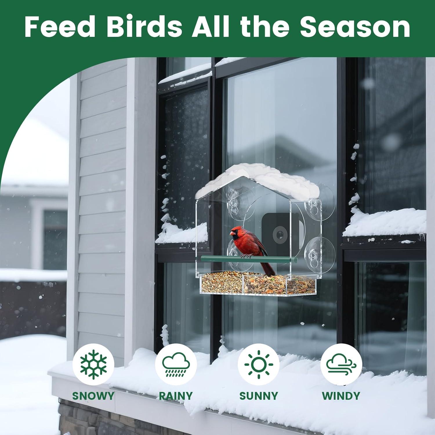 Comedero para Aves de Ventana Svanur con Cámara AI 2K HD