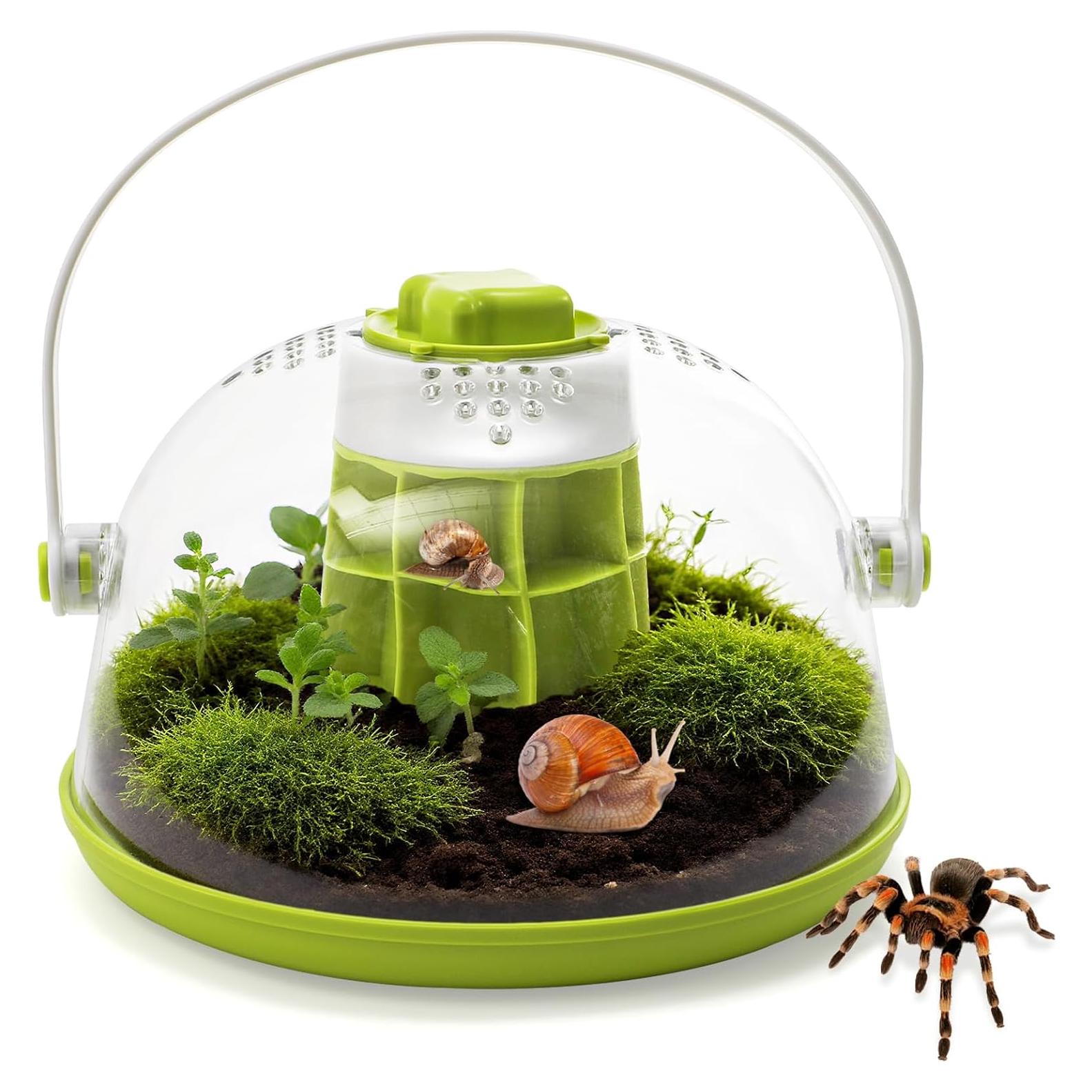 Caja de Cría para Caracoles ELFULLY 20.3cm con Ventilación