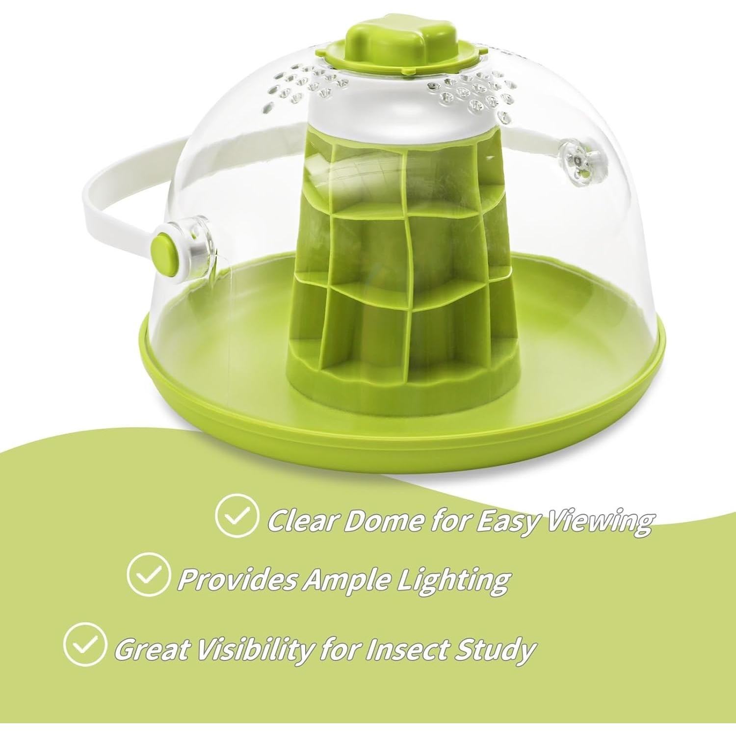 Caja de Cría para Caracoles ELFULLY 20.3cm con Ventilación