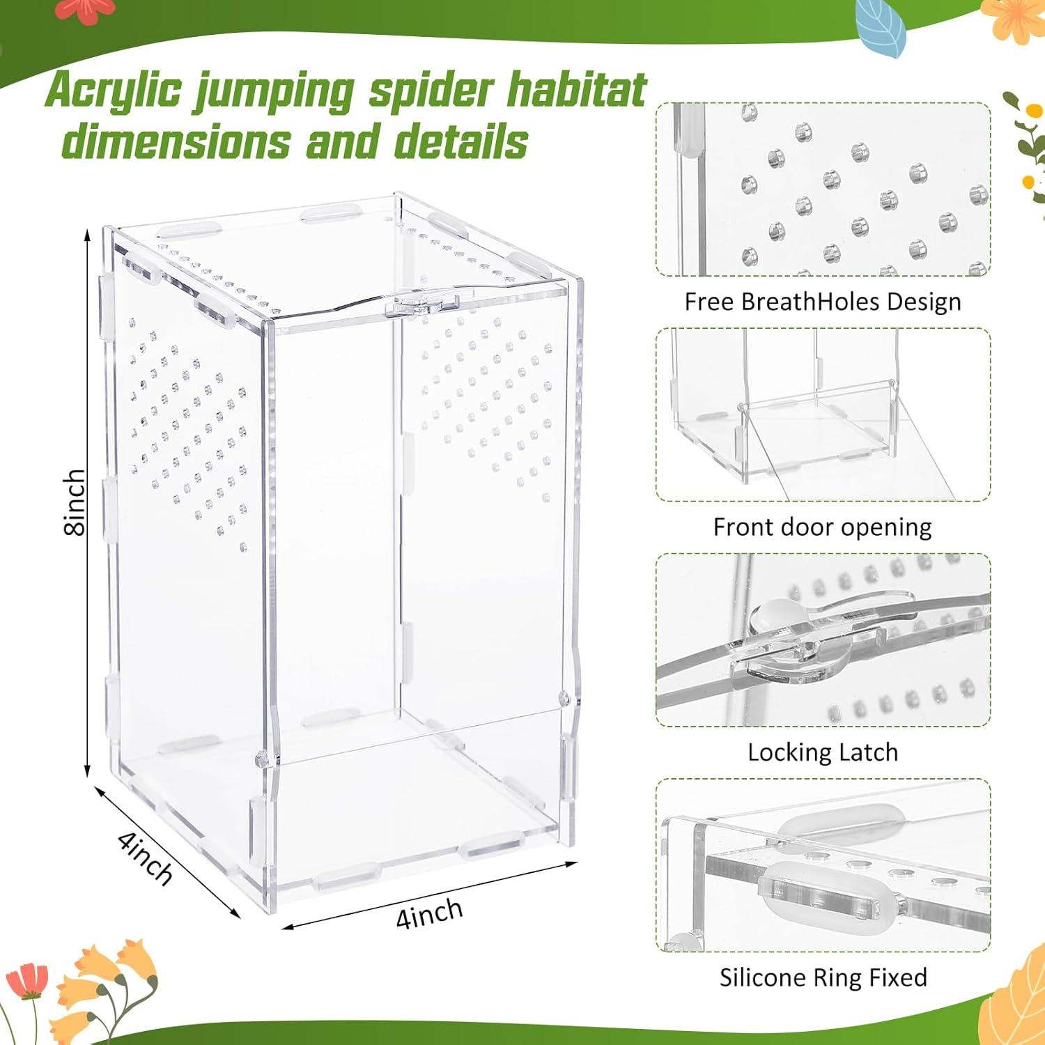 Conjunto de Miniaturas para Hábitat de Arañas Saltadoras RoundFunny