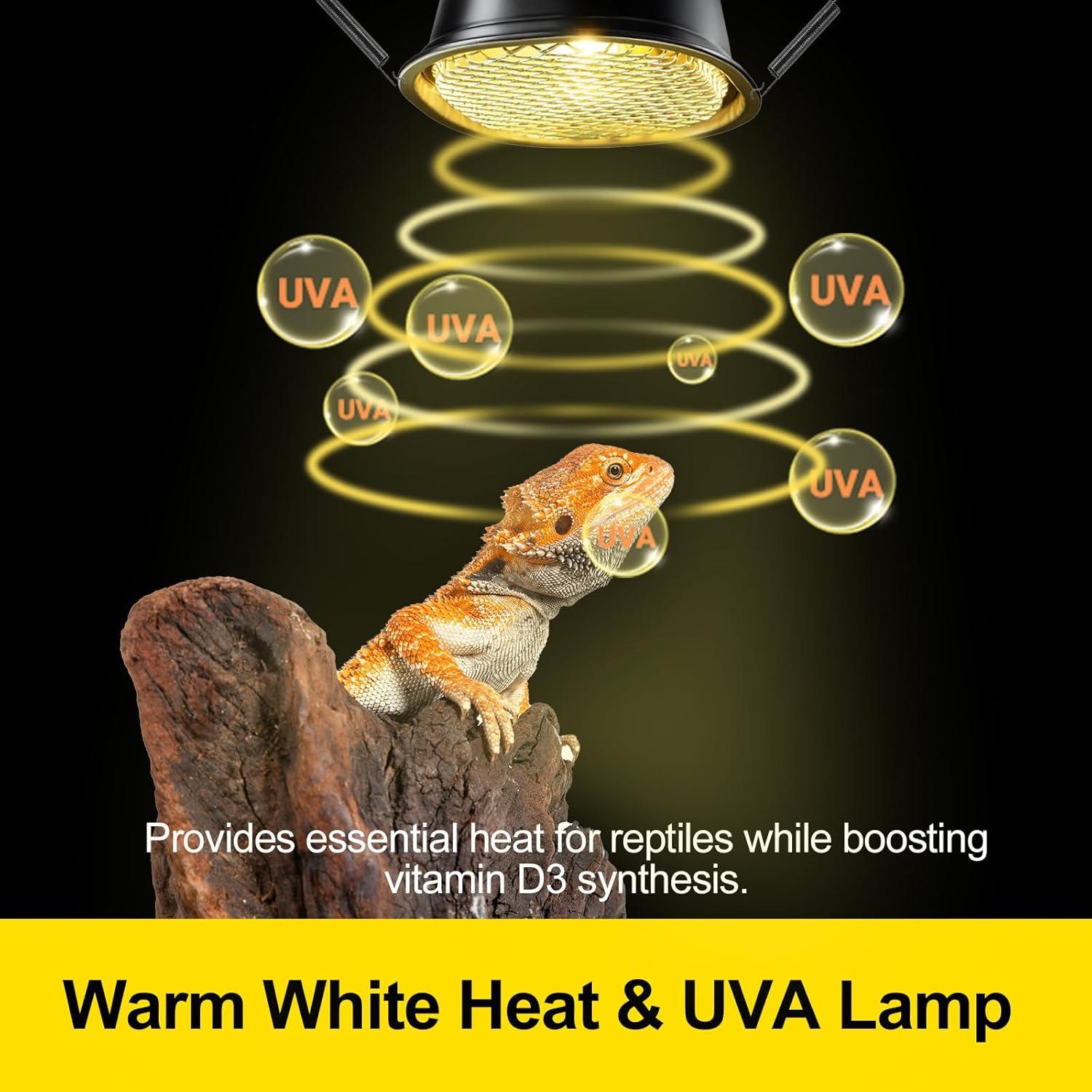 Kit Lámpara de Calor Reptil G9 CAVACHEW 50W con Capucha