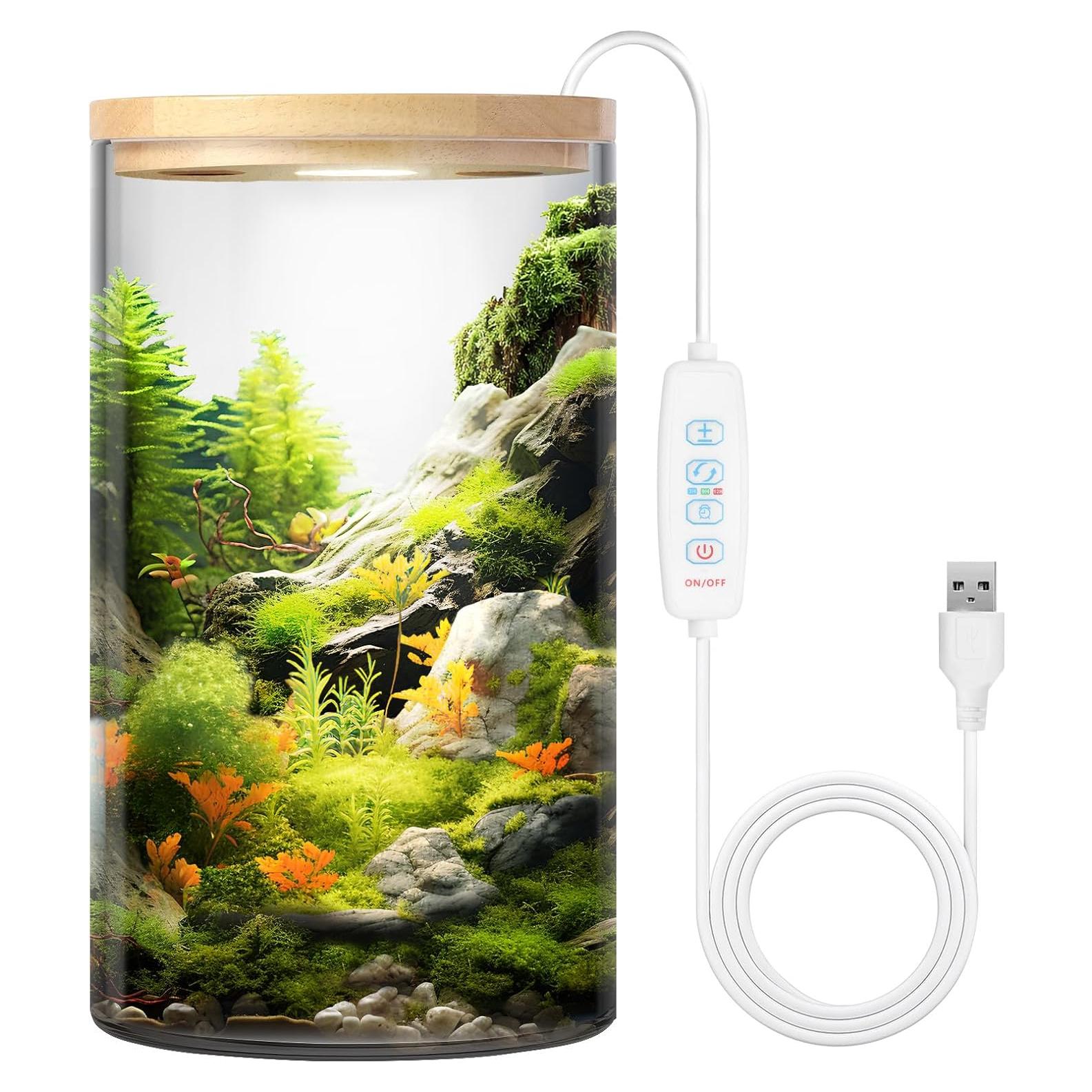 Terrario de Escritorio POPRHINO 15x25 cm con Luz LED Ajustable