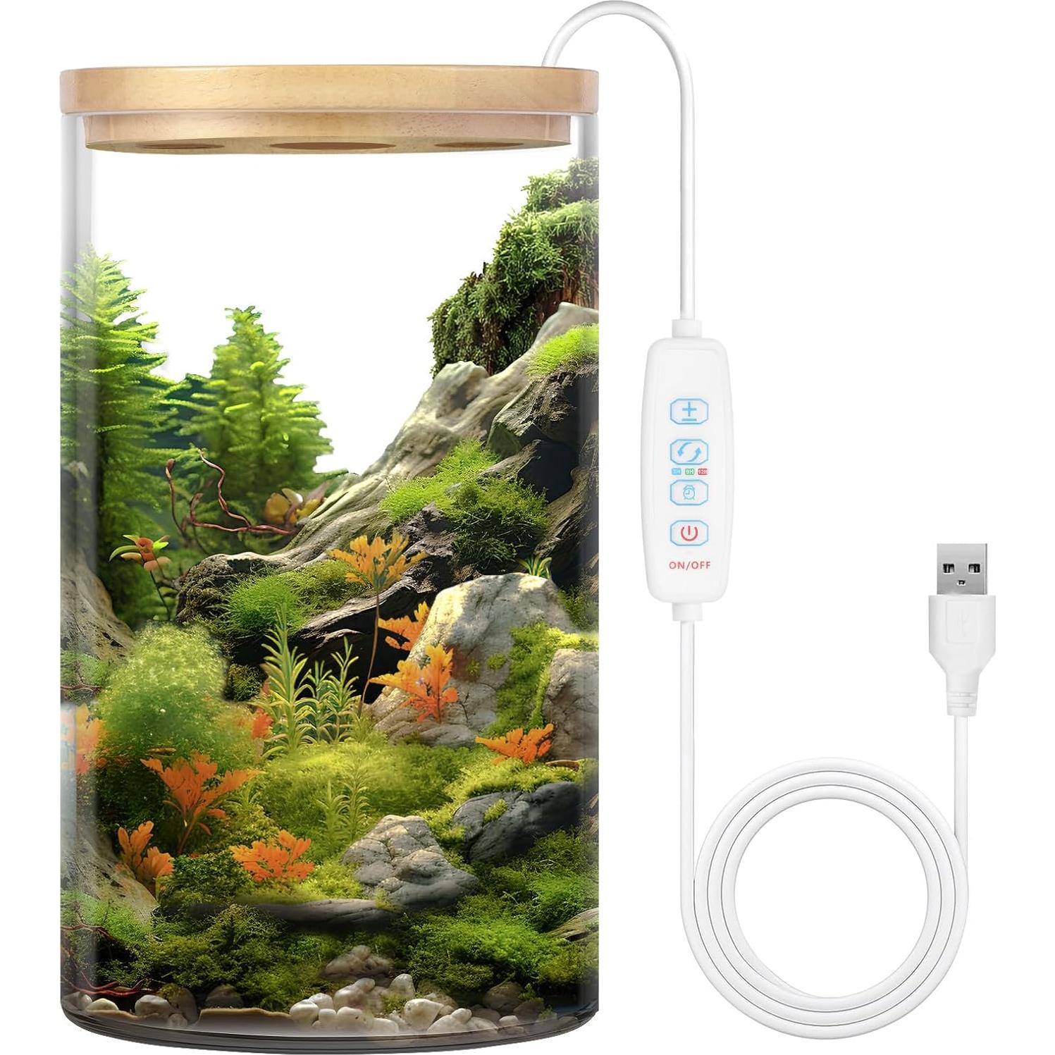 Terrario de Escritorio POPRHINO 15x25 cm con Luz LED Ajustable