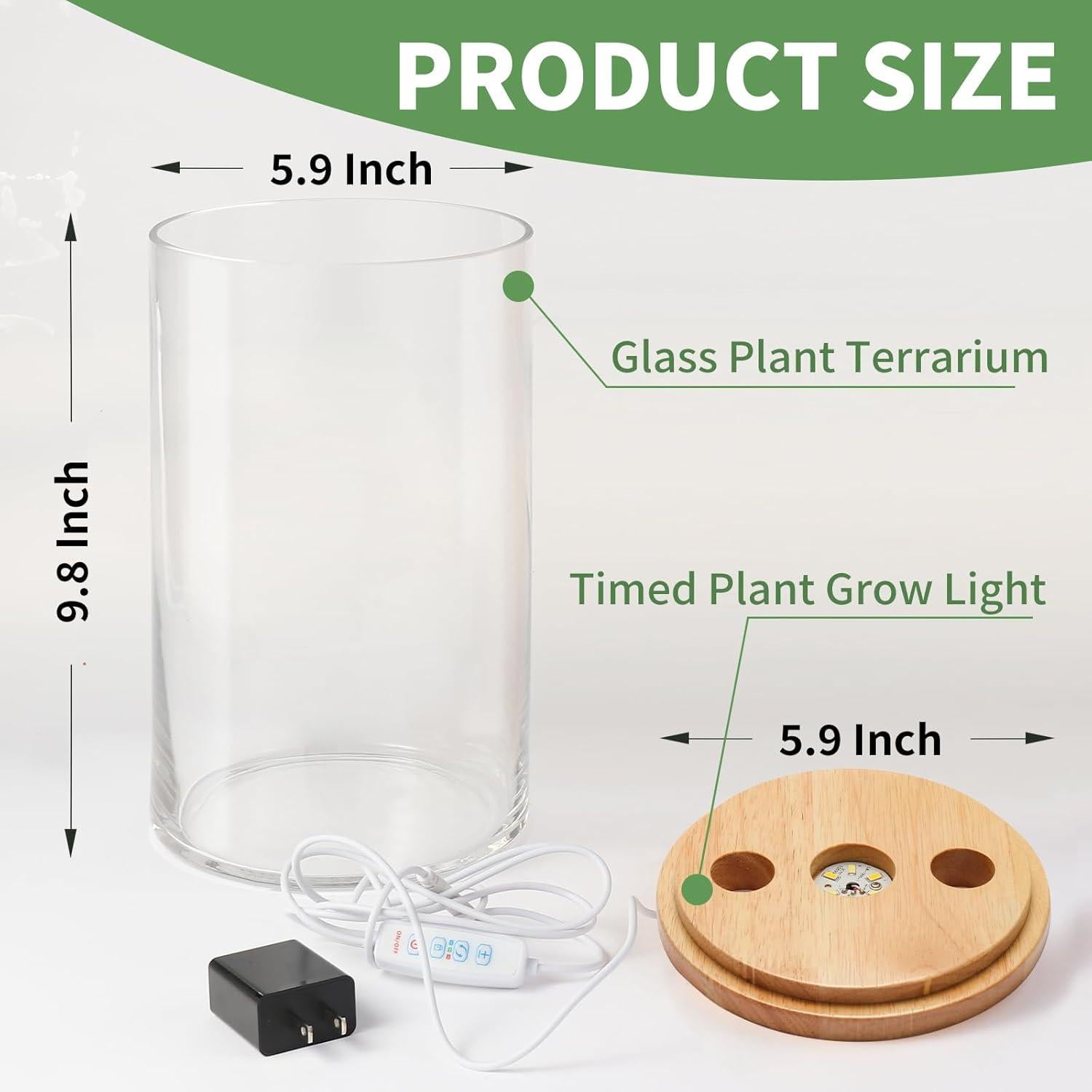 Terrario de Escritorio POPRHINO 15x25 cm con Luz LED Ajustable