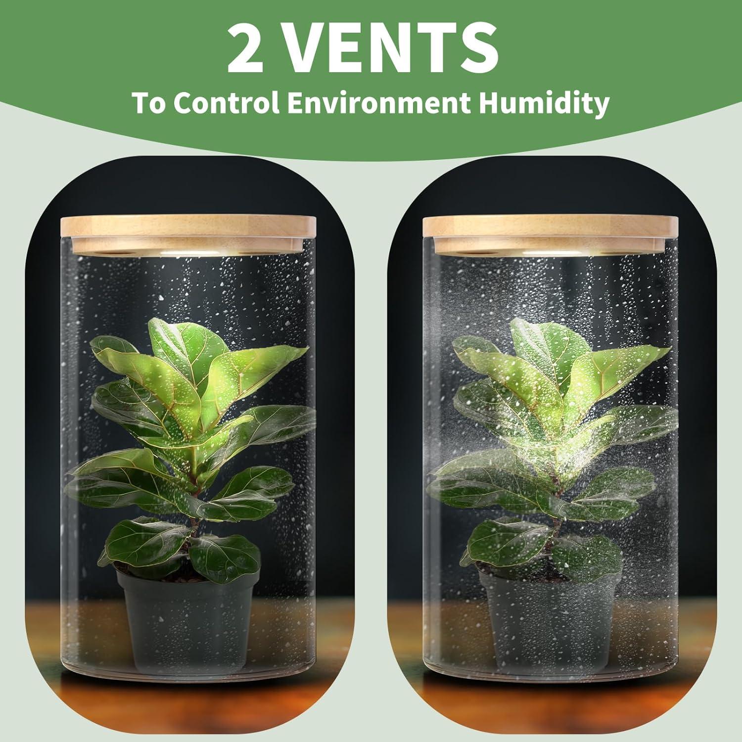 Terrario de Escritorio POPRHINO 15x25 cm con Luz LED Ajustable