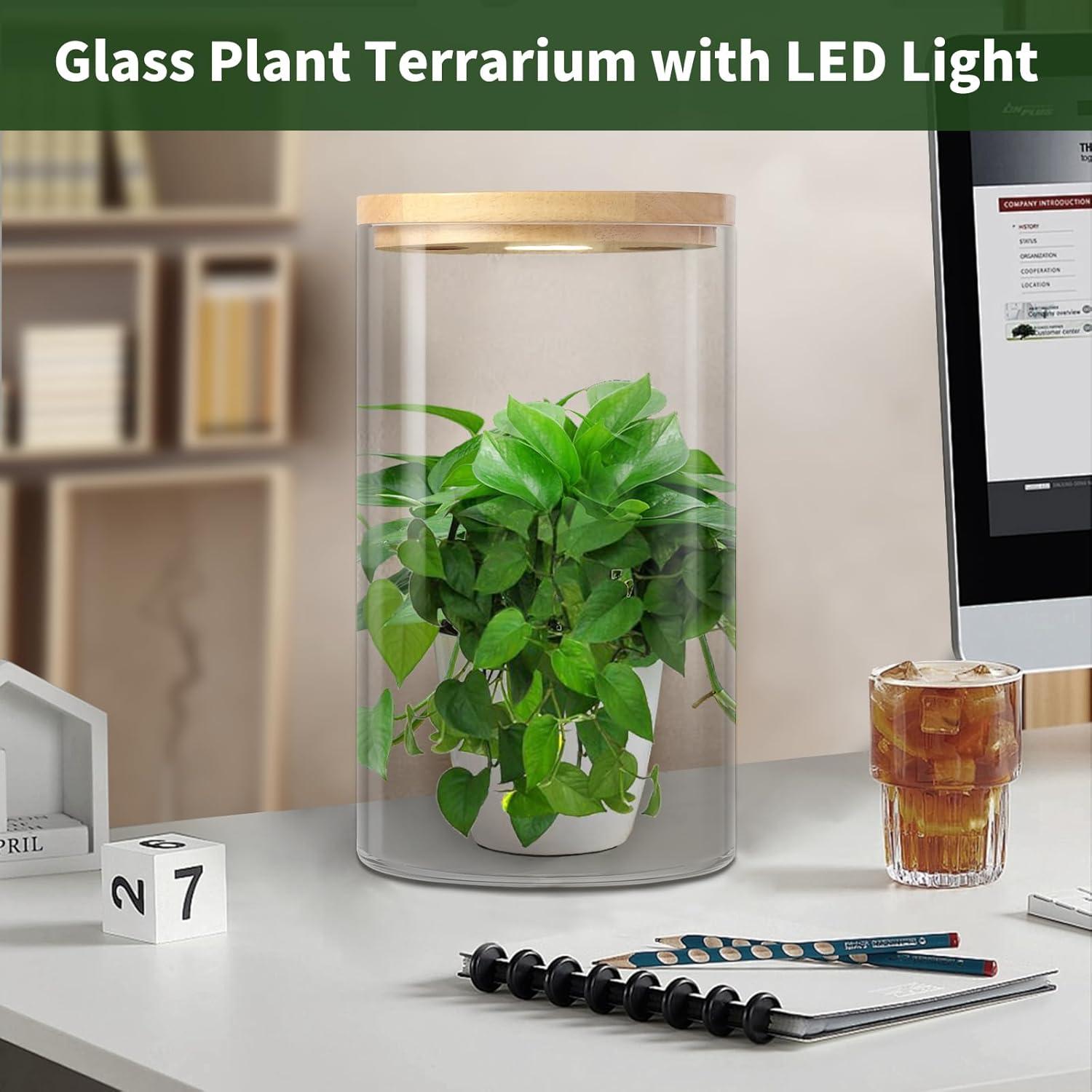 Terrario de Escritorio POPRHINO 15x25 cm con Luz LED Ajustable