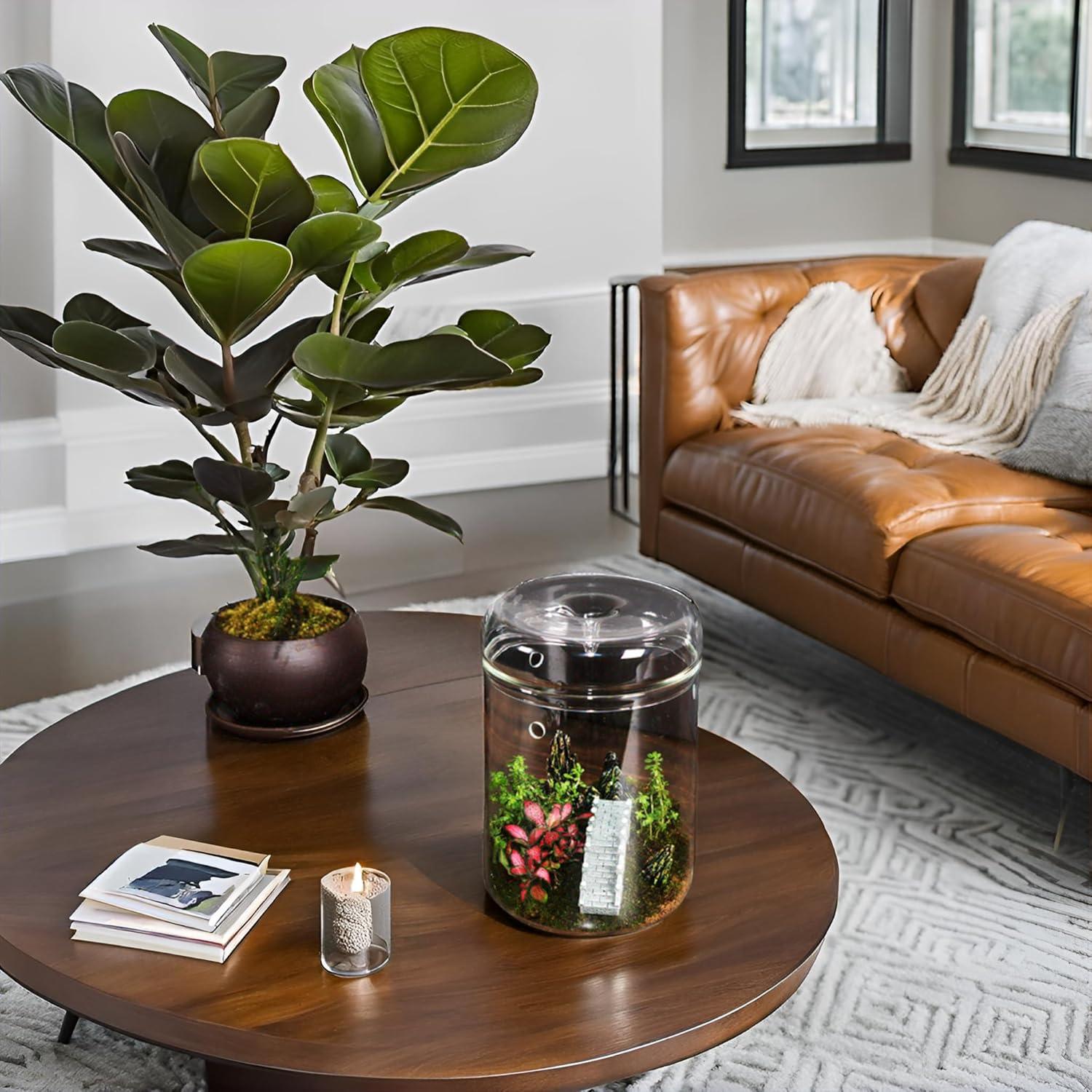 Terrario de Vidrio Borosilicato con Tapa - 11.9 x 17.8 cm - Ideal para Suculentas y Ecosistemas