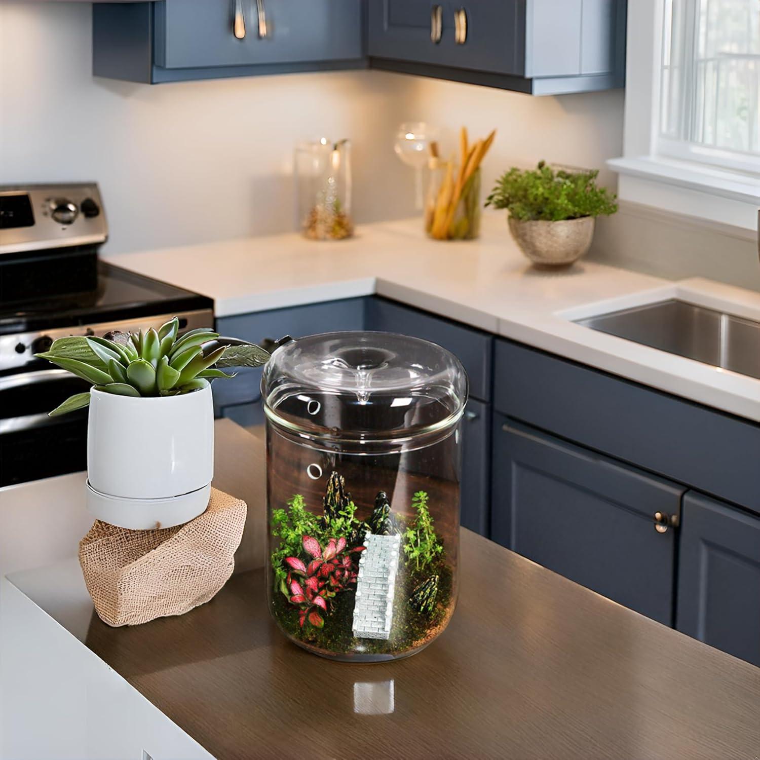 Terrario de Vidrio Borosilicato con Tapa - 11.9 x 17.8 cm - Ideal para Suculentas y Ecosistemas