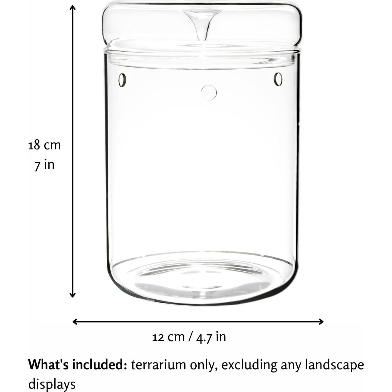 Terrario de Vidrio Borosilicato con Tapa - 11.9 x 17.8 cm - Ideal para Suculentas y Ecosistemas