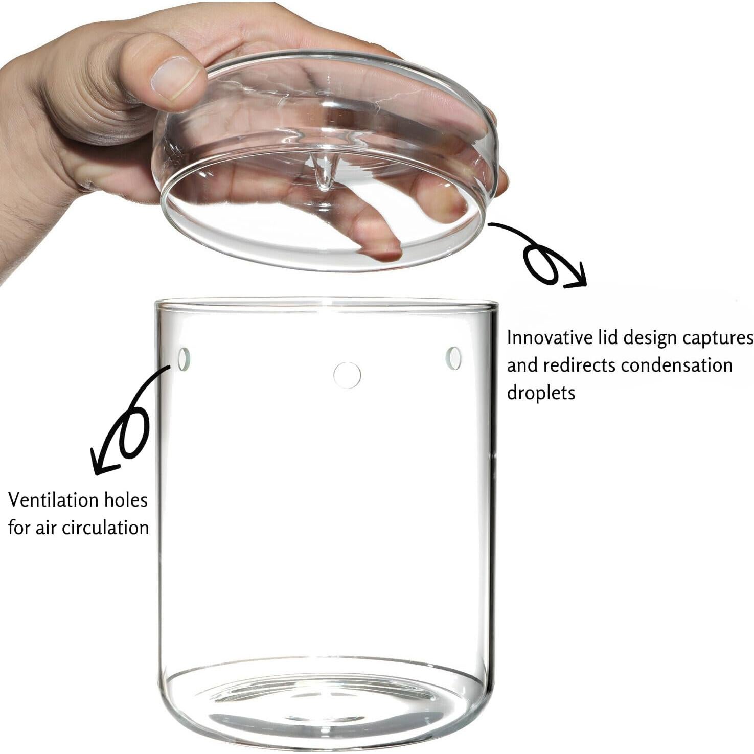 Terrario de Vidrio Borosilicato con Tapa - 11.9 x 17.8 cm - Ideal para Suculentas y Ecosistemas