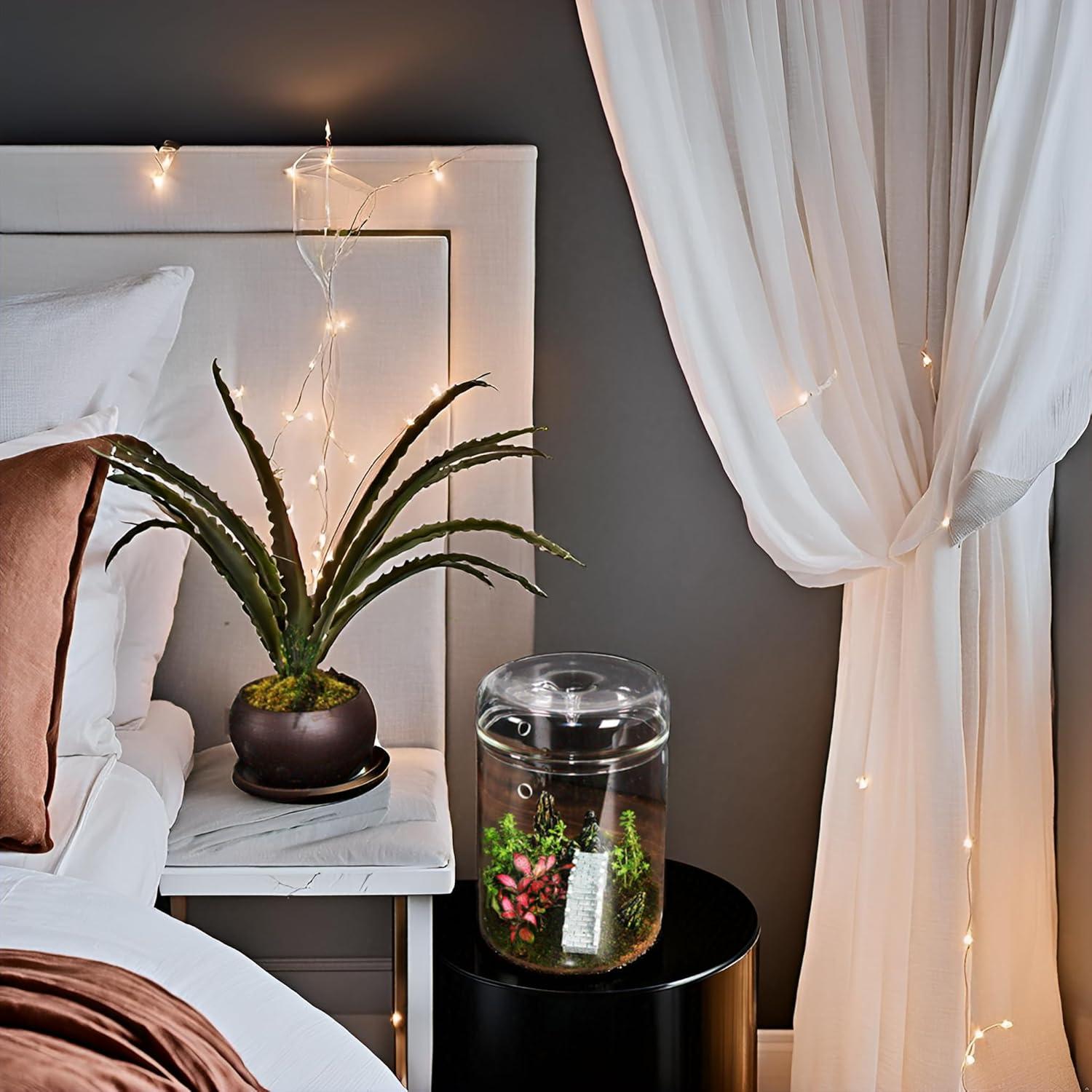 Terrario de Vidrio Borosilicato con Tapa - 11.9 x 17.8 cm - Ideal para Suculentas y Ecosistemas