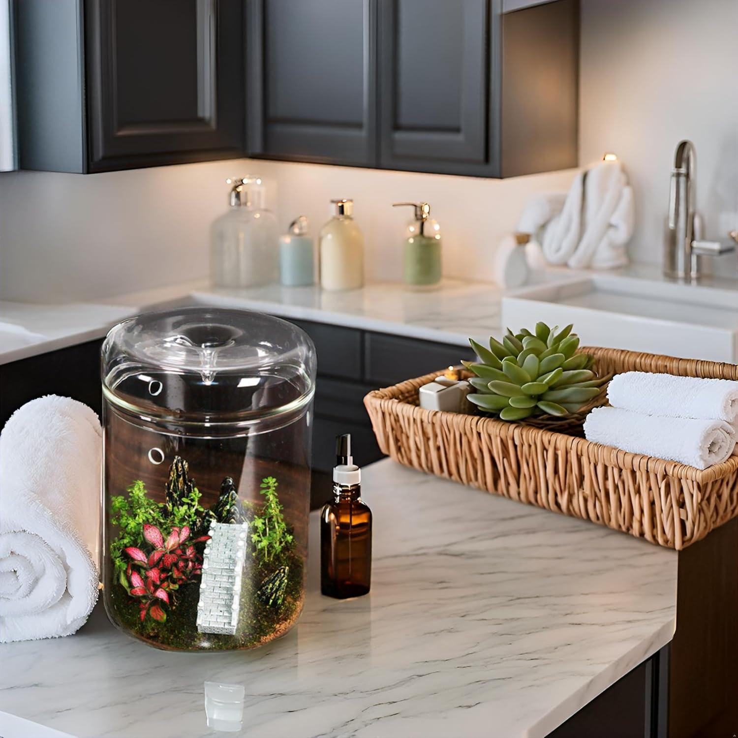 Terrario de Vidrio Borosilicato con Tapa - 11.9 x 17.8 cm - Ideal para Suculentas y Ecosistemas