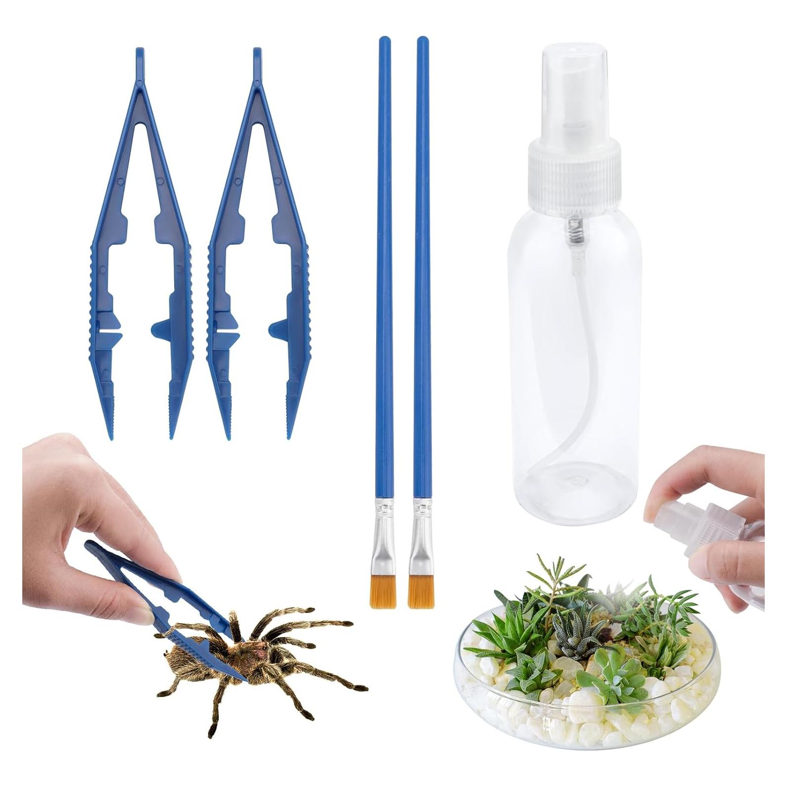 Kit de Inicio para Arañas Saltadoras Plus Tard JSSK001