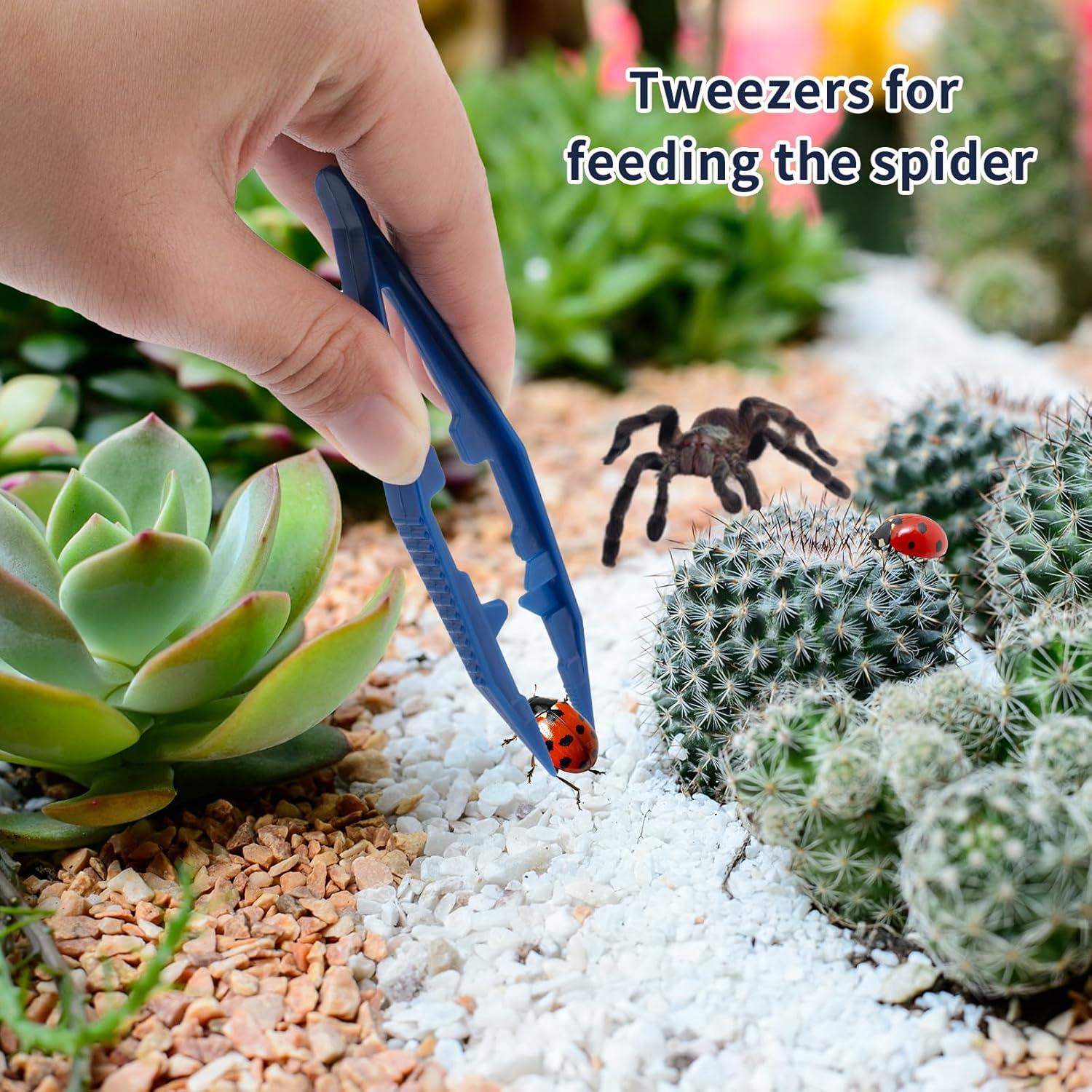 Kit de Inicio para Arañas Saltadoras Plus Tard JSSK001