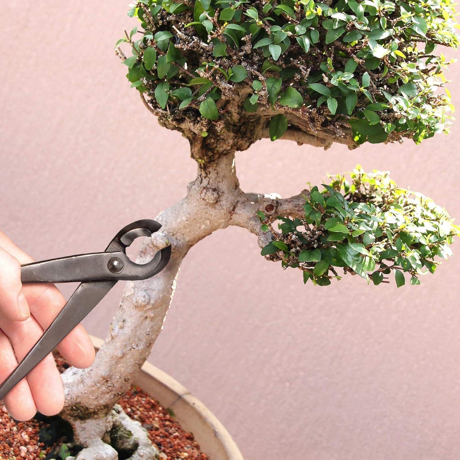 Kit de herramientas para bonsai BambooMN - 2 cortadores 20.3cm