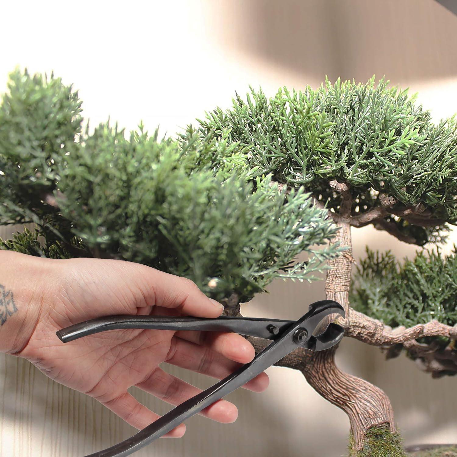 Kit de herramientas para bonsai BambooMN - 2 cortadores 20.3cm