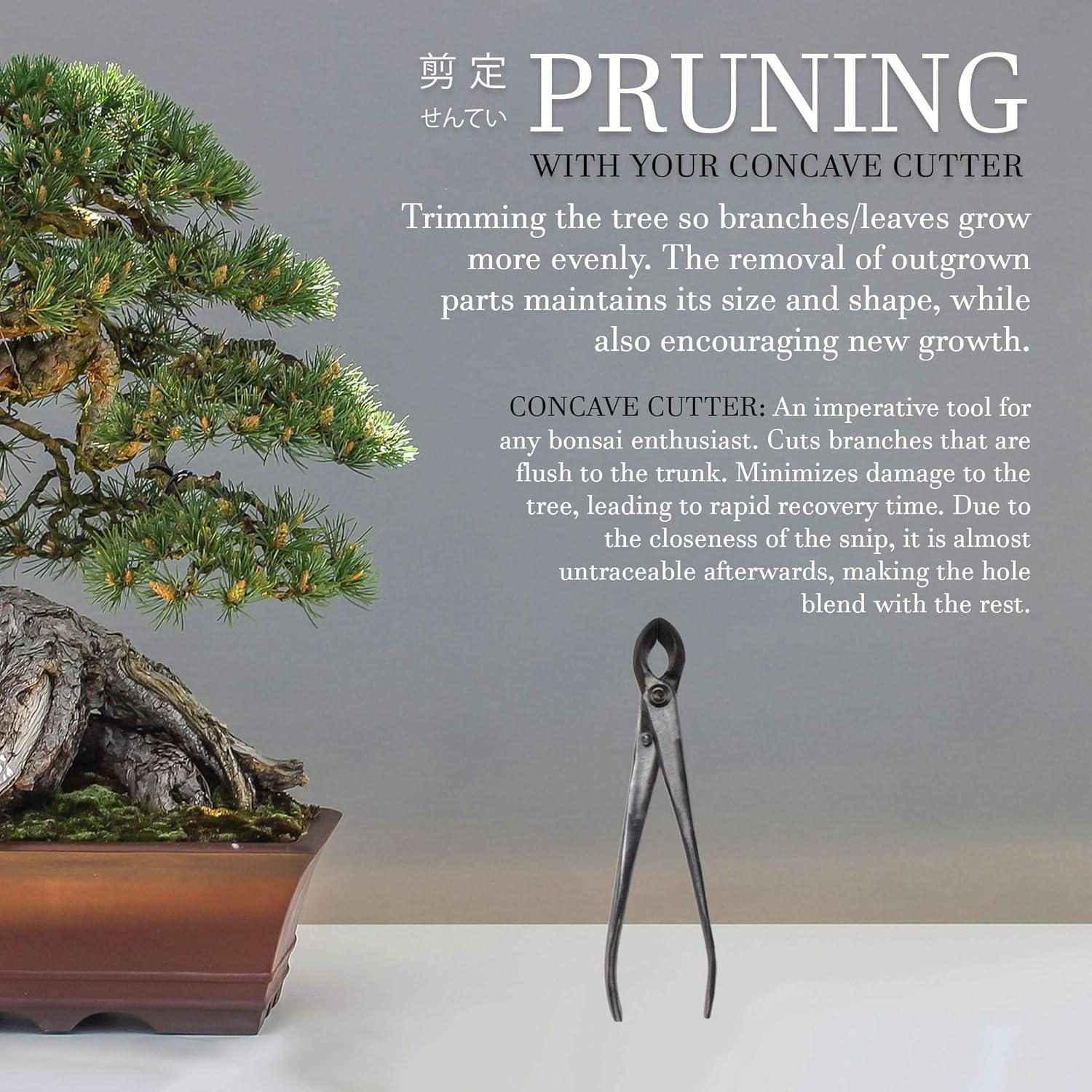 Kit de herramientas para bonsai BambooMN - 2 cortadores 20.3cm