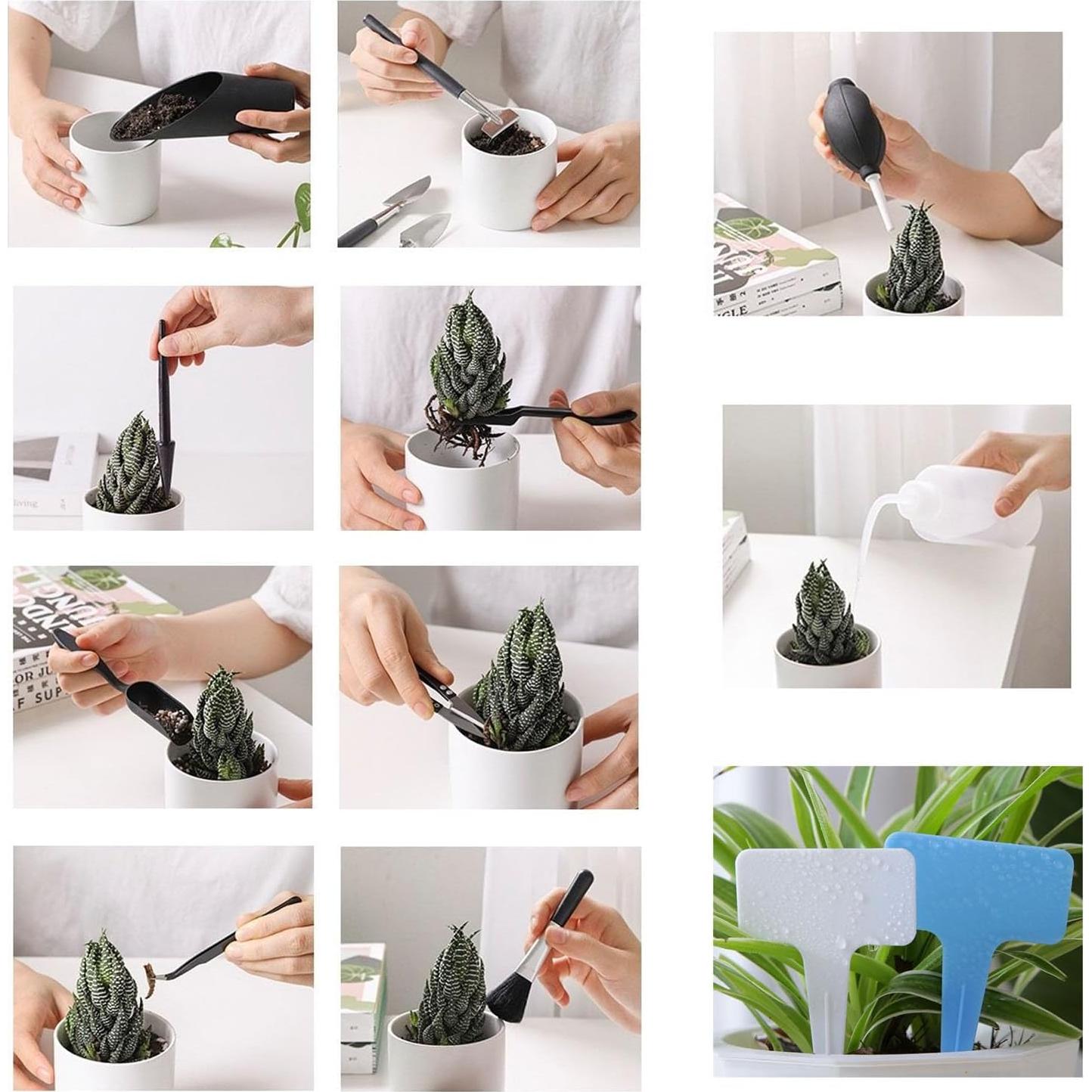 Juego de Herramientas para Suculentas LUFOX 35PCS con Alfombrilla