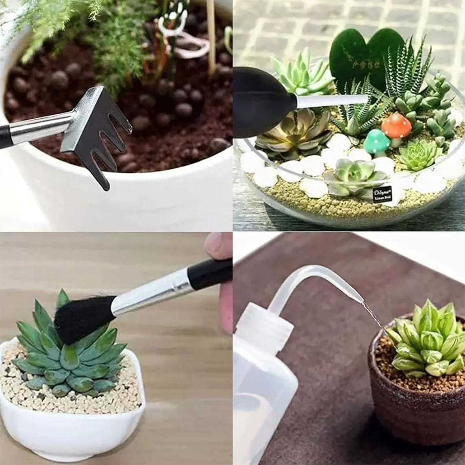 Juego de Herramientas para Suculentas LUFOX 35PCS con Alfombrilla