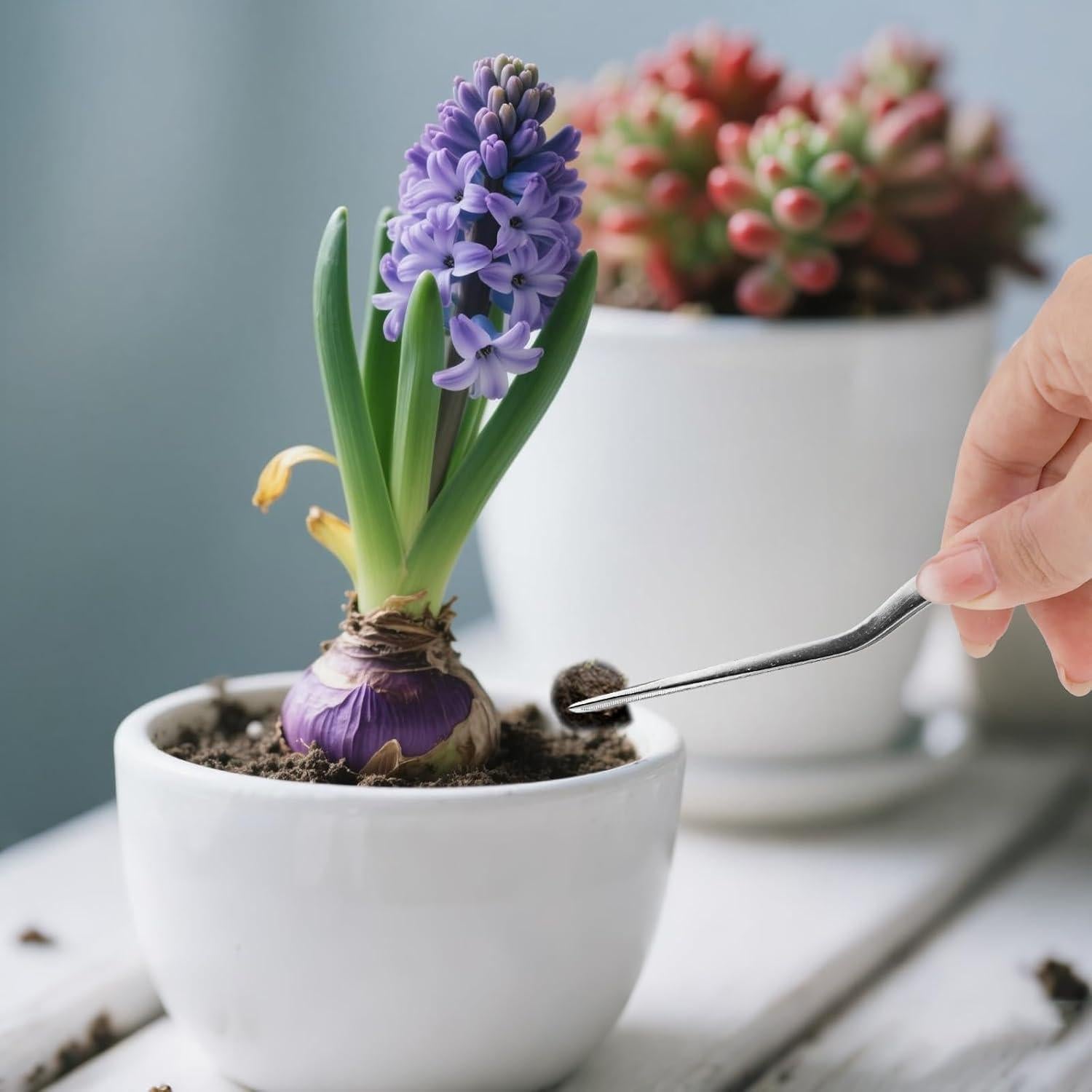 Juego de 3 Pinzas de Acero Inoxidable Tinoaly 16cm para Jardinería