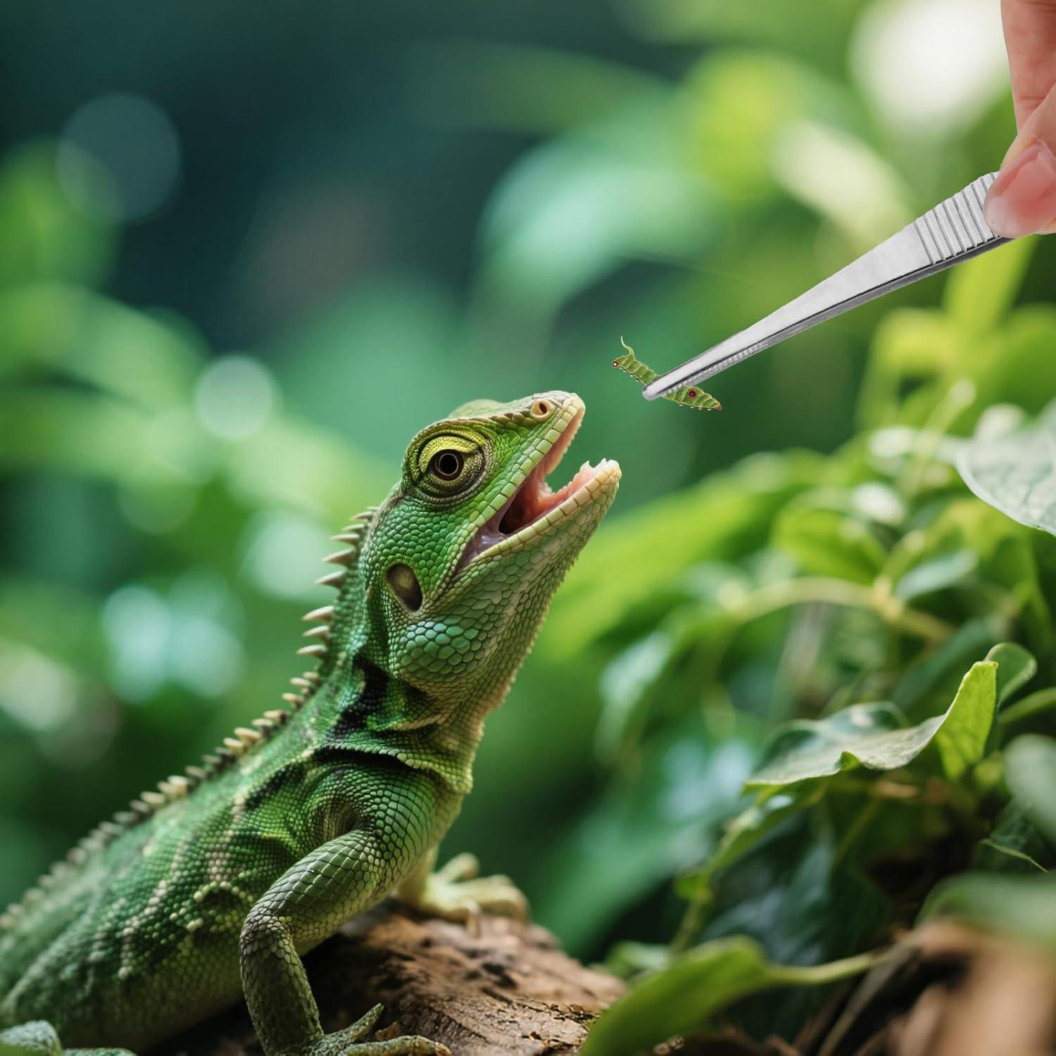 Juego de 3 Pinzas de Acero Inoxidable Tinoaly 16cm para Jardinería