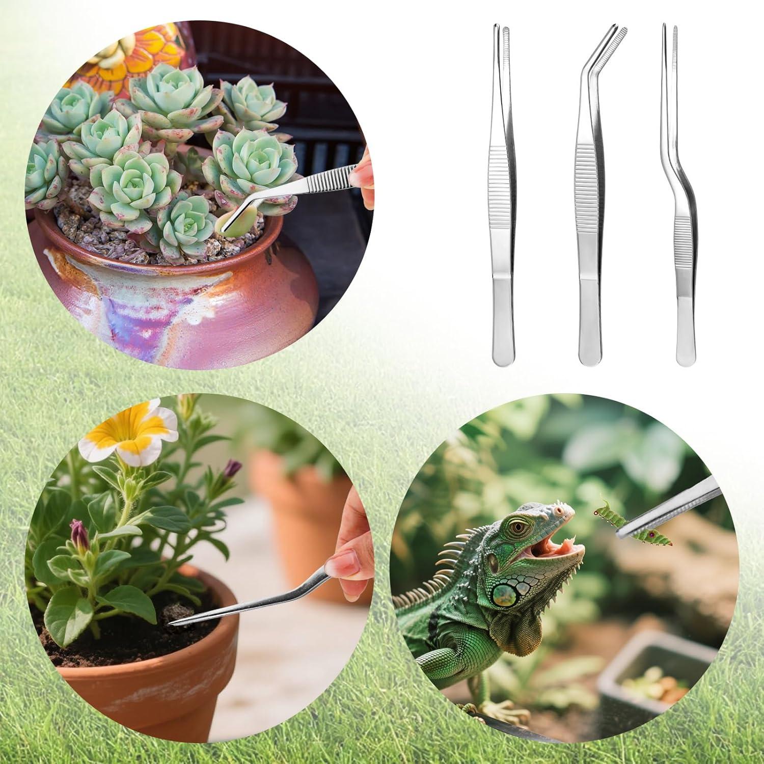 Juego de 3 Pinzas de Acero Inoxidable Tinoaly 16cm para Jardinería