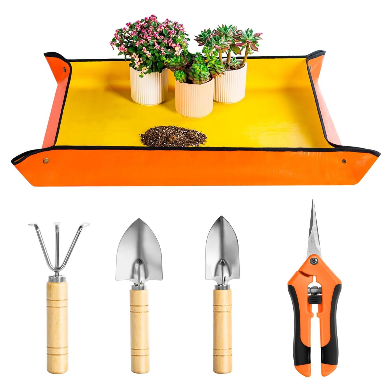 Kit de Jardinería Josteve 5 Pcs - Tijeras y Herramientas para Suculentas
