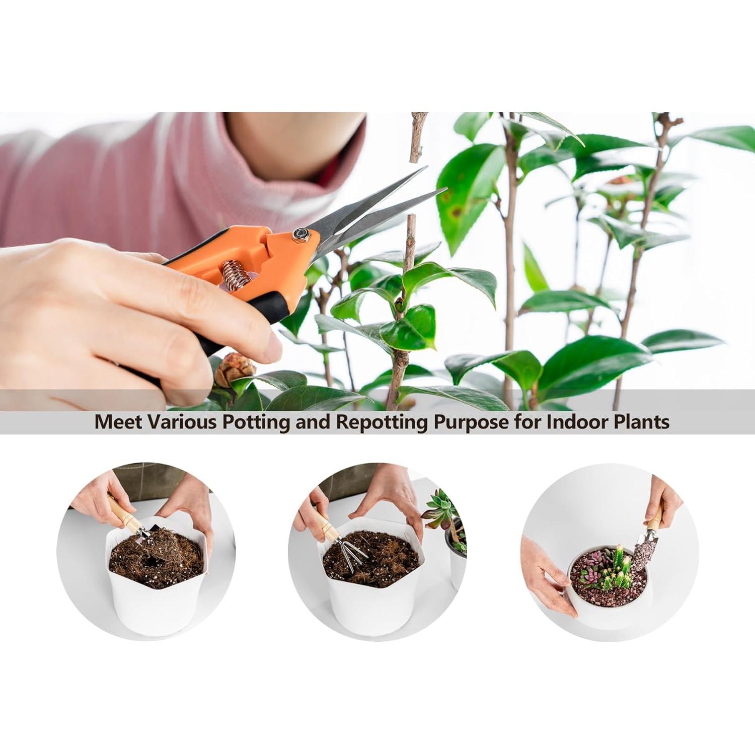 Kit de Jardinería Josteve 5 Pcs - Tijeras y Herramientas para Suculentas