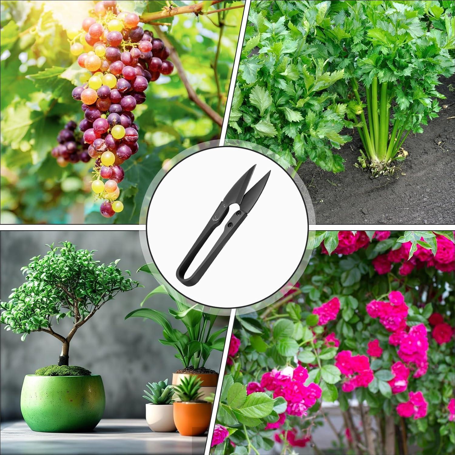 Set de 4 Mini Tijeras de Poda HJZHII - Acero Inoxidable 10.5cm