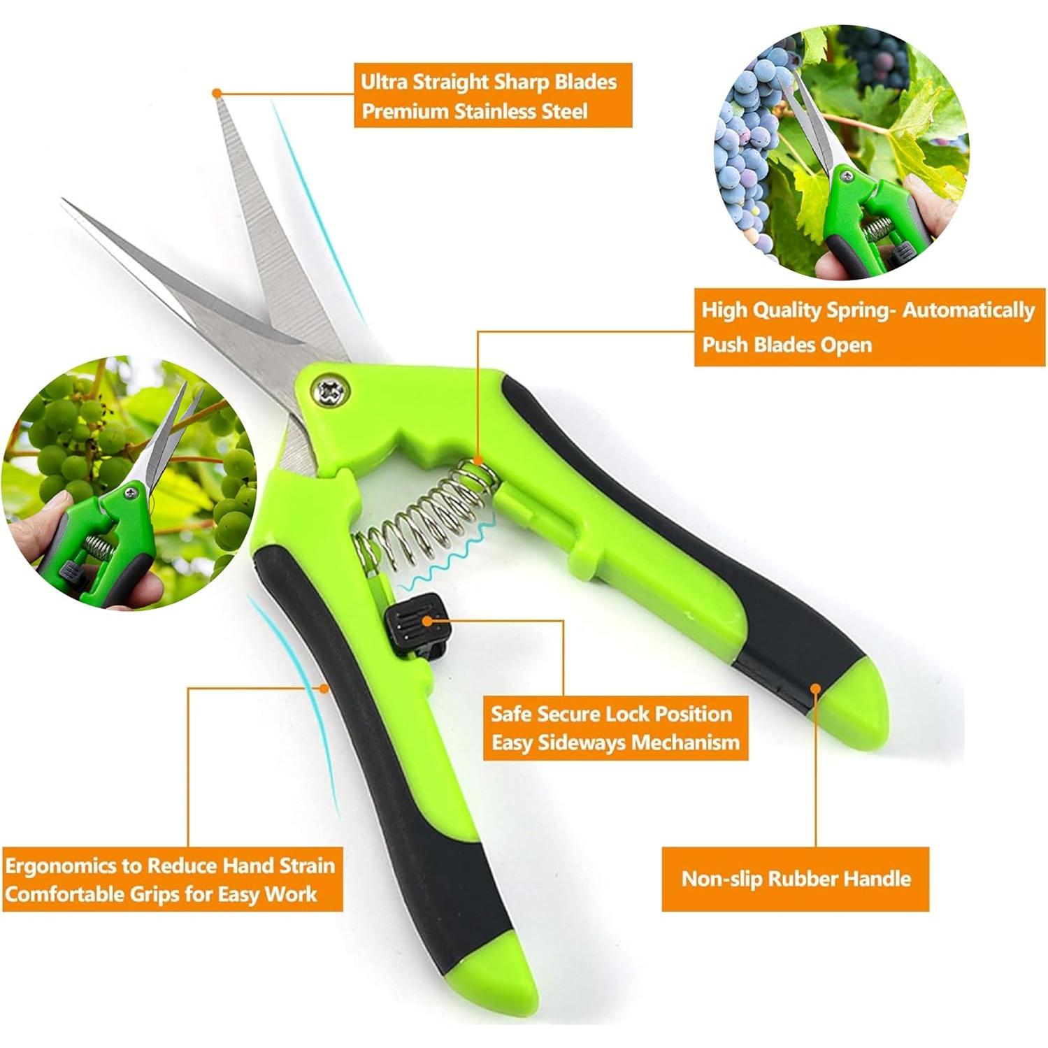 Set de Herramientas de Jardín IIUIKOO 5 Piezas Hierro Verde