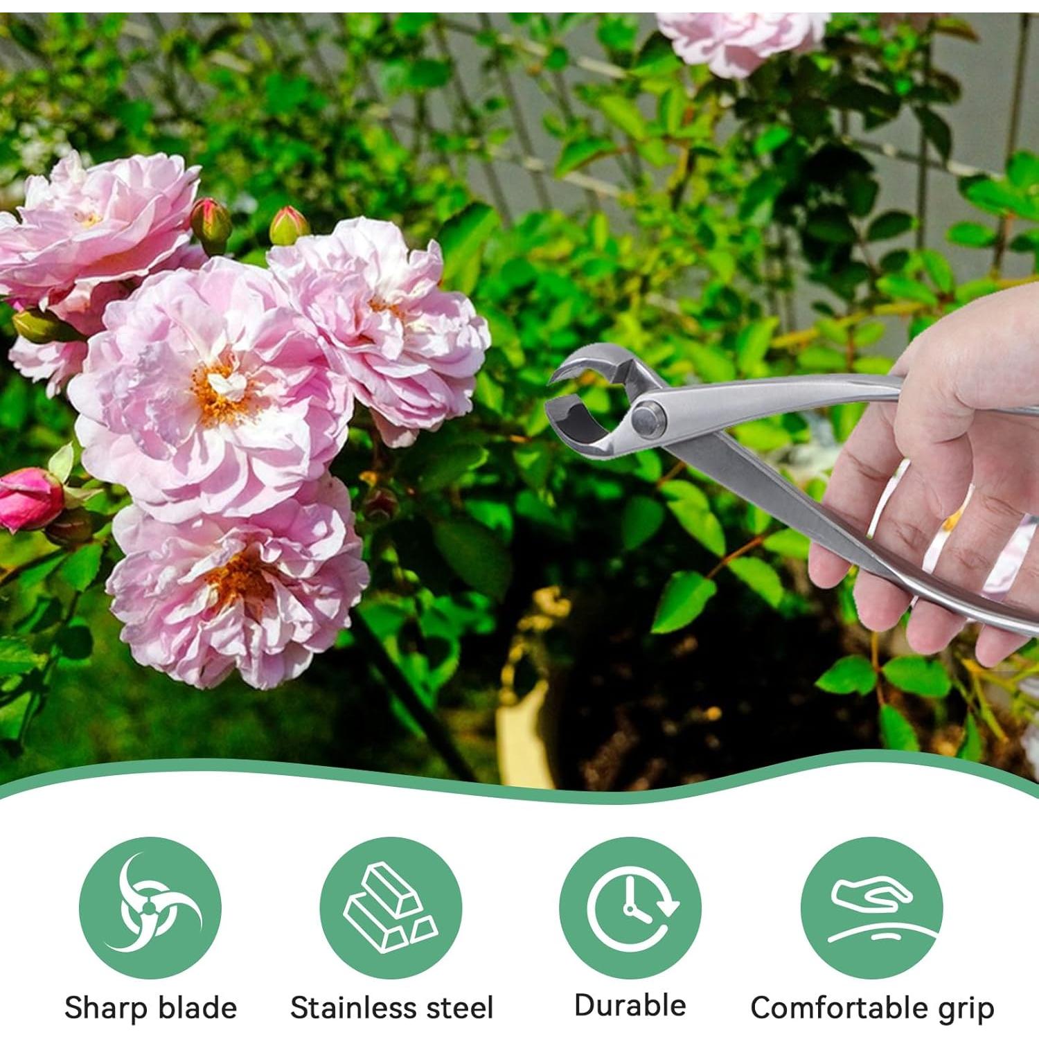 Cortador de Ramas de Bonsai Agatige 180mm Acero Inoxidable