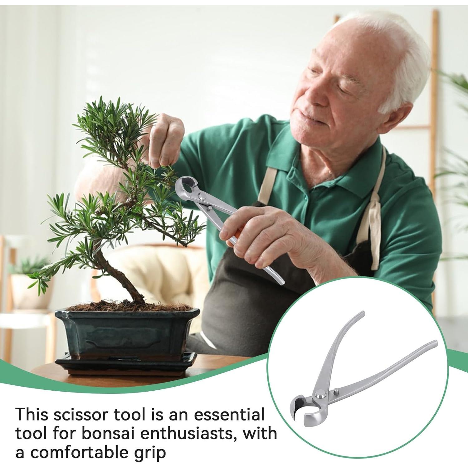 Cortador de Ramas de Bonsai Agatige 180mm Acero Inoxidable