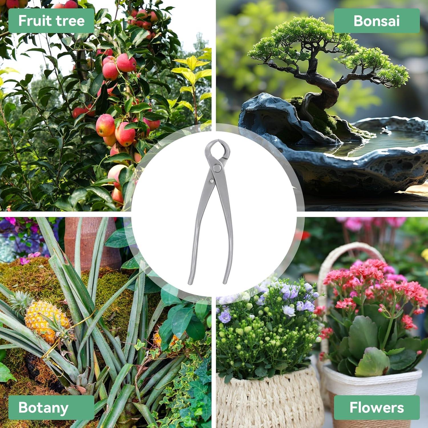 Cortador de Ramas de Bonsai Agatige 180mm Acero Inoxidable