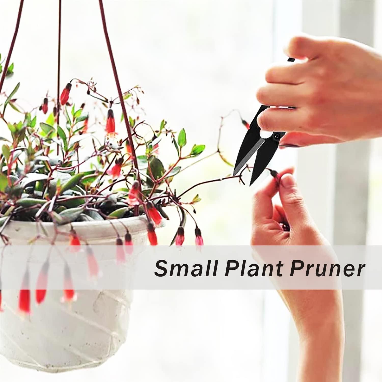 Tijeras de Poda de Bonsai JINJIAN 12PCS - Acero al Carbono