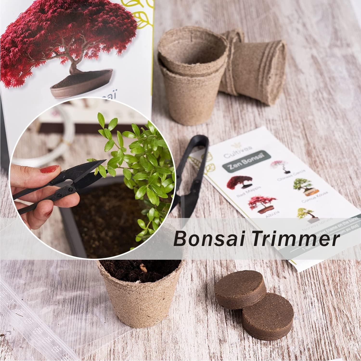 Tijeras de Poda de Bonsai JINJIAN 12PCS - Acero al Carbono