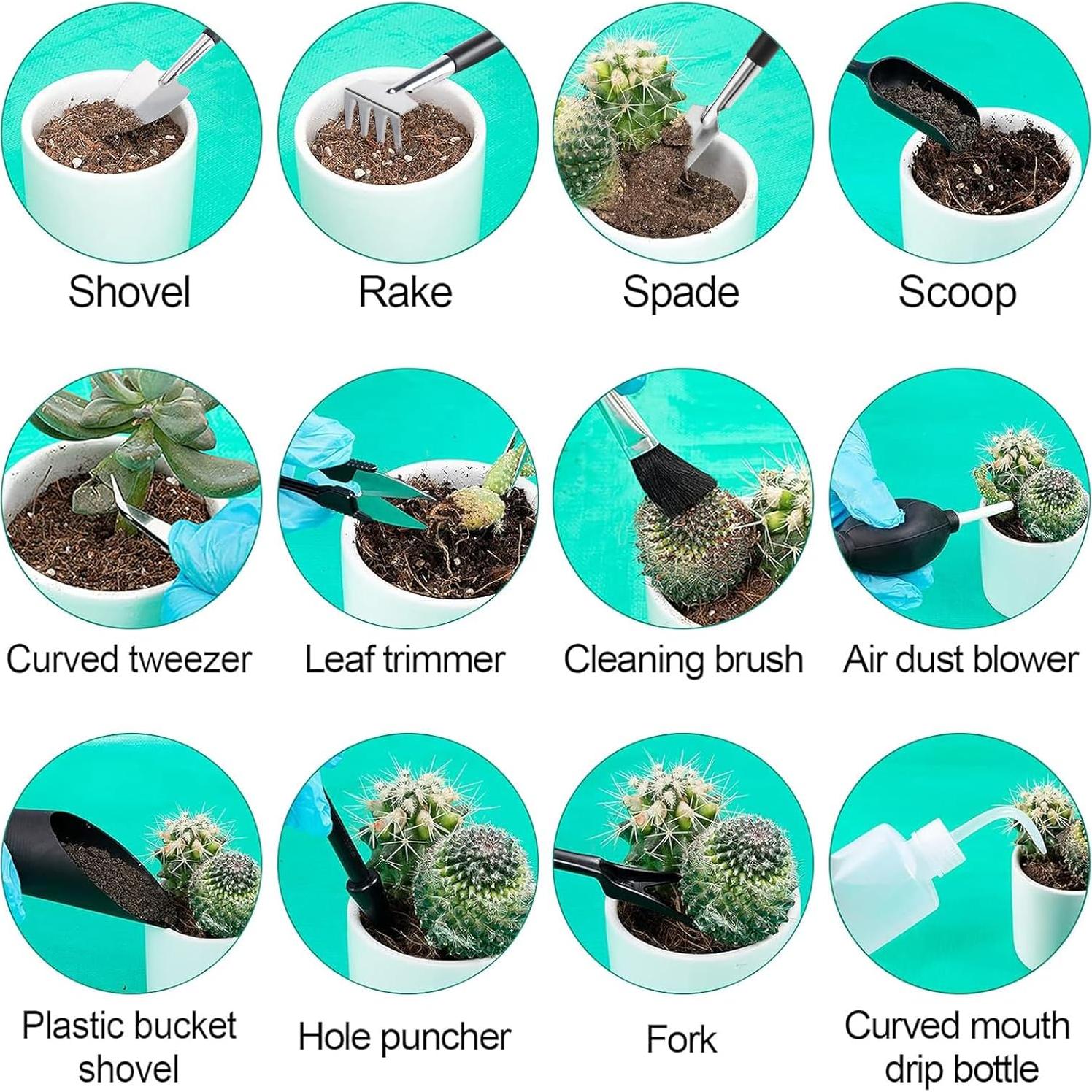 Juego de Herramientas para Suculentas ANPHSIN 44 Pcs Verde