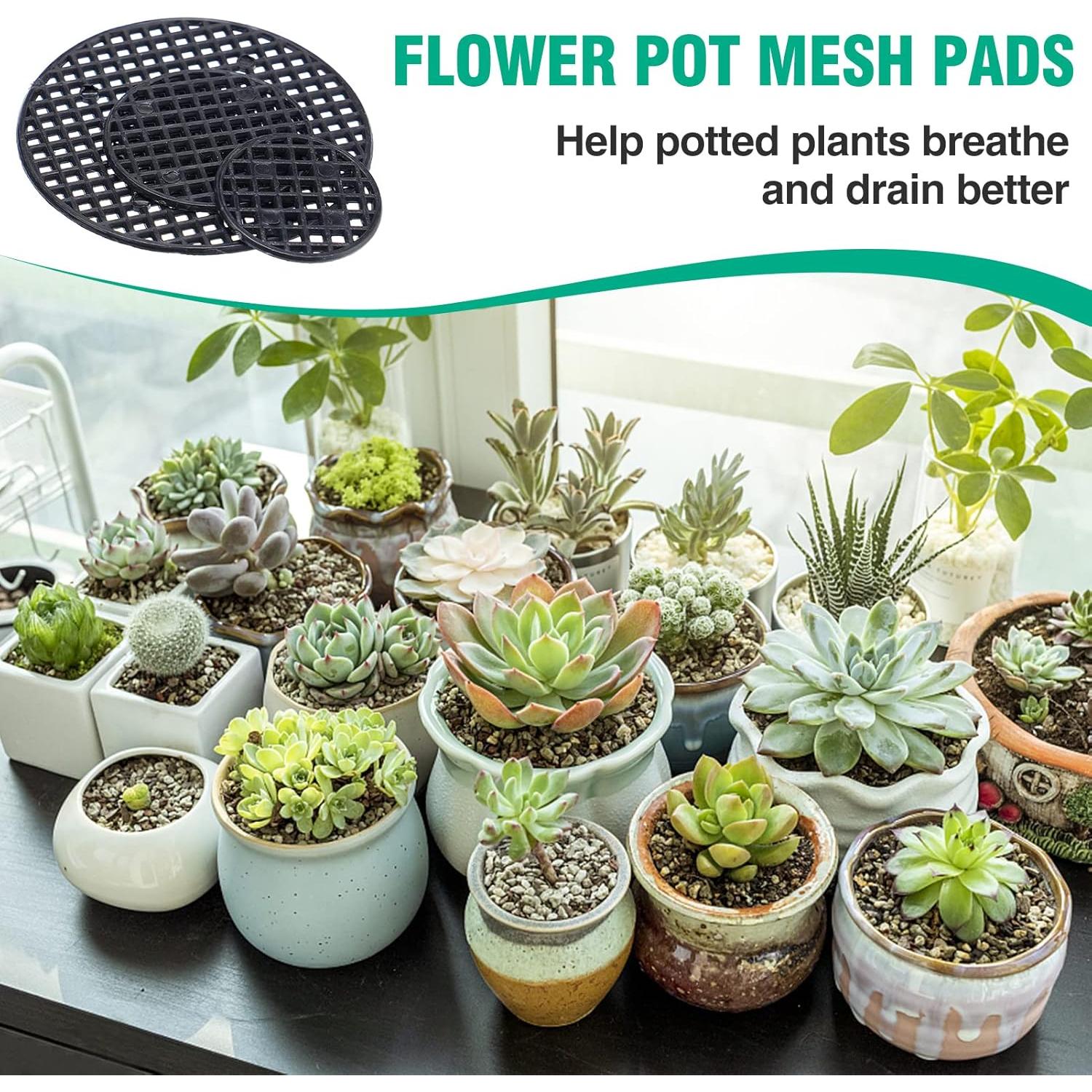 Juego de Herramientas para Suculentas ANPHSIN 44 Pcs Verde