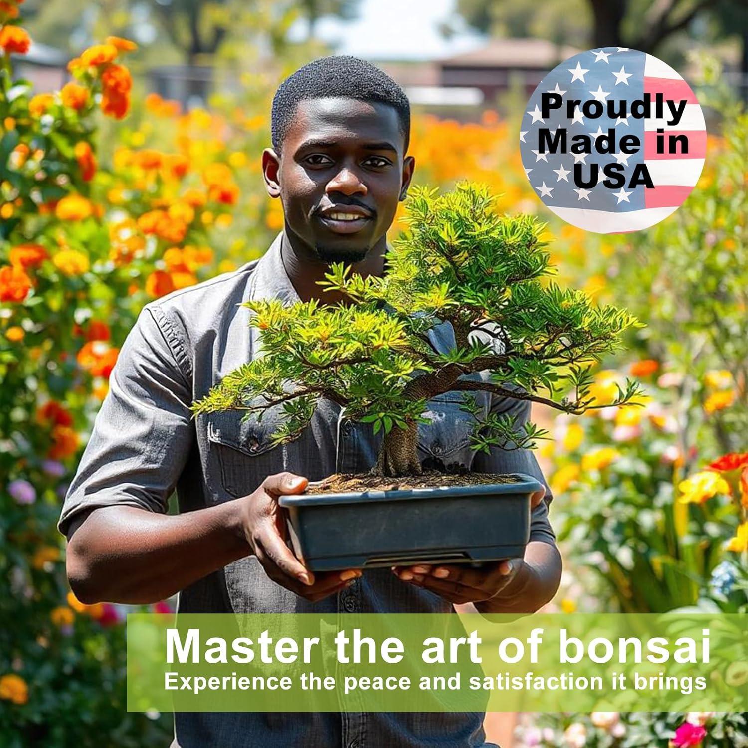 Kit de Bonsai PUMBAA HOME - 4 Semillas + Herramientas + Maceta