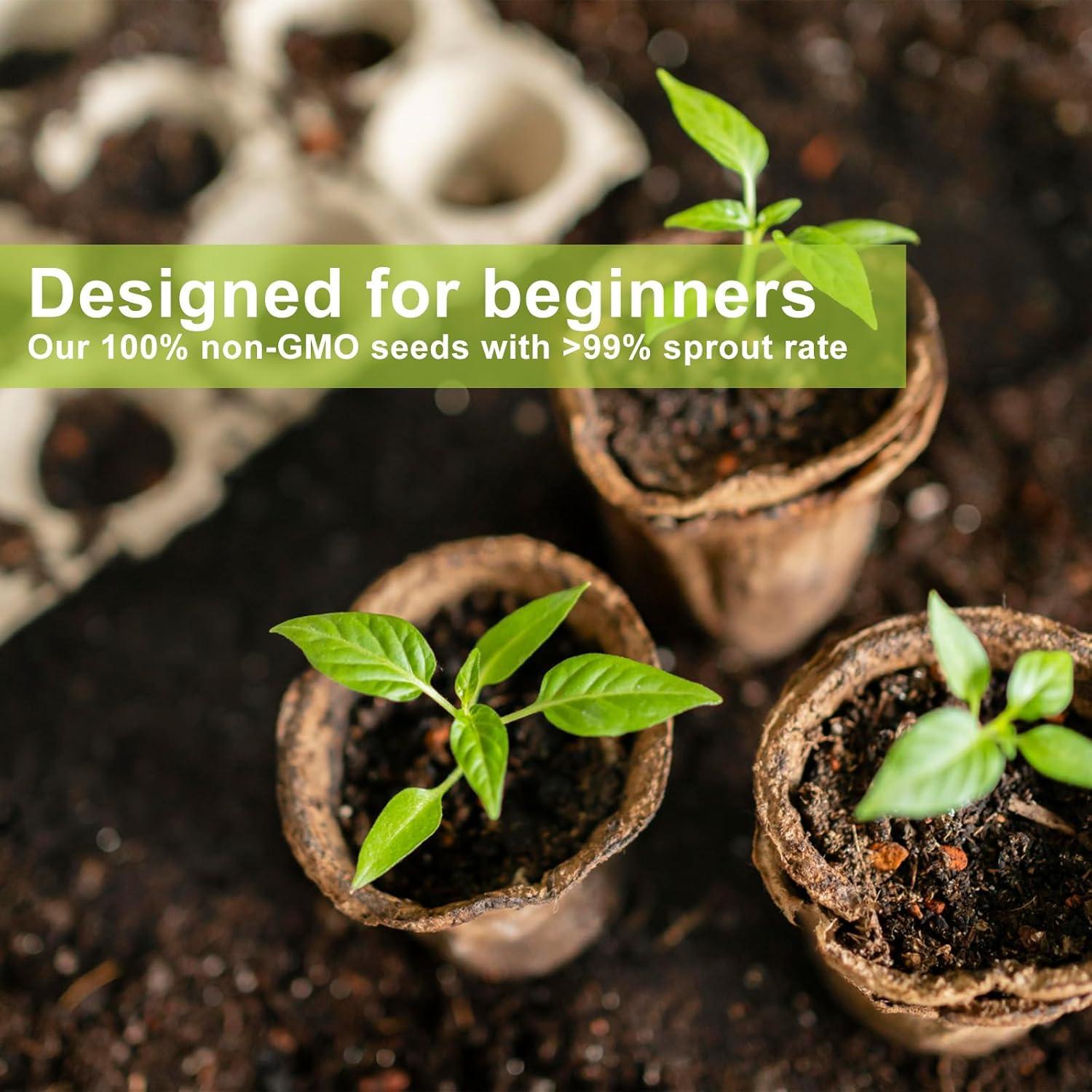 Kit de Bonsai PUMBAA HOME - 4 Semillas + Herramientas + Maceta